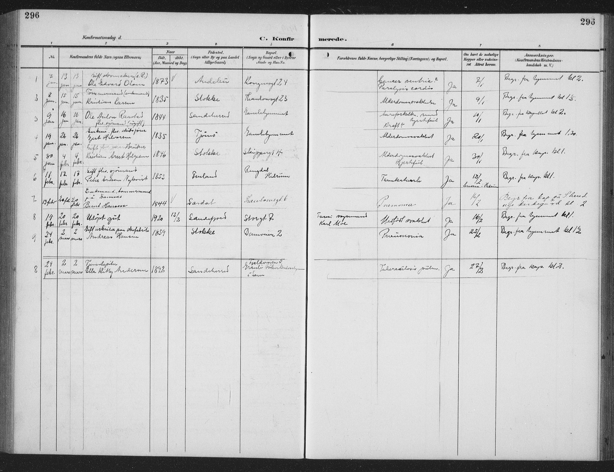 Sandefjord kirkebøker, AV/SAKO-A-315/G/Ga/L0003: Parish register (copy) no. 3, 1903-1920, p. 296