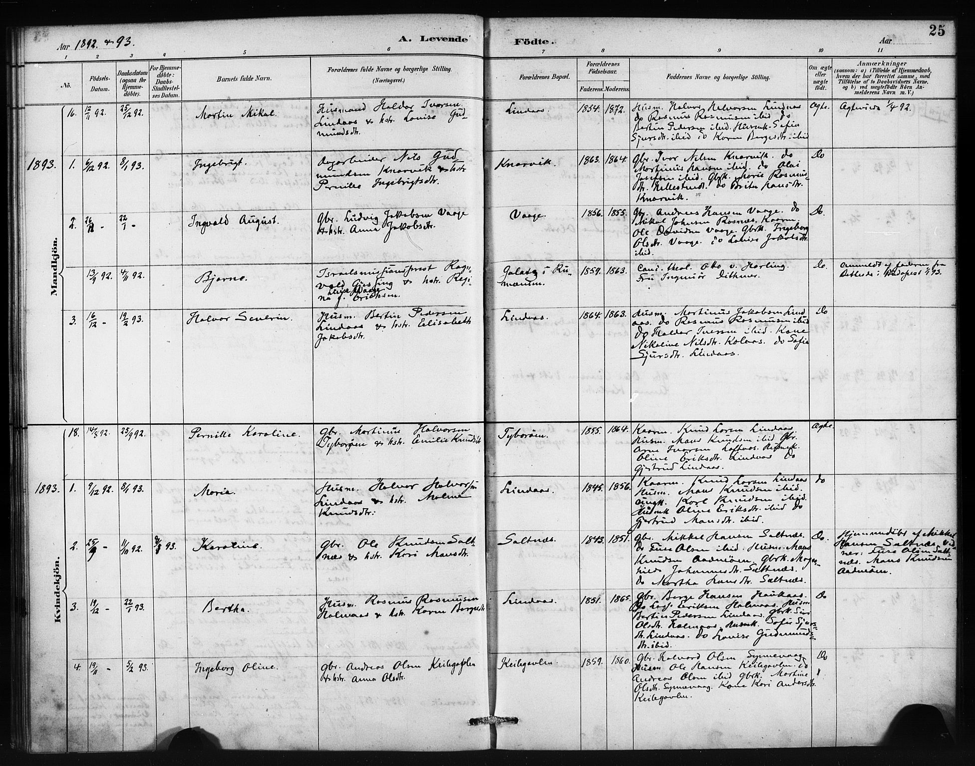 Lindås Sokneprestembete, SAB/A-76701/H/Haa: Parish register (official) no. B 1, 1886-1900, p. 25
