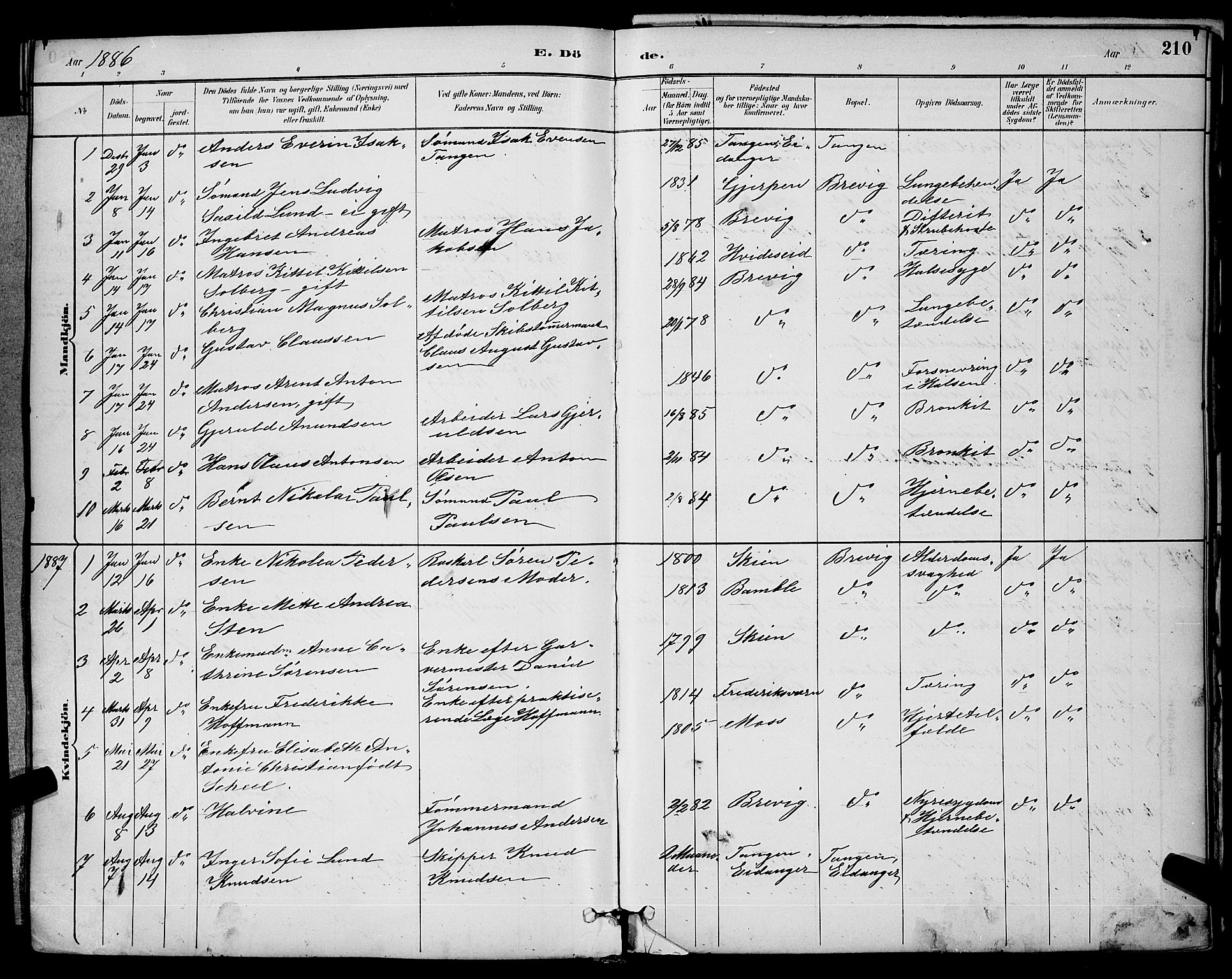 Brevik kirkebøker, AV/SAKO-A-255/G/Ga/L0004: Parish register (copy) no. 4, 1882-1900, p. 210