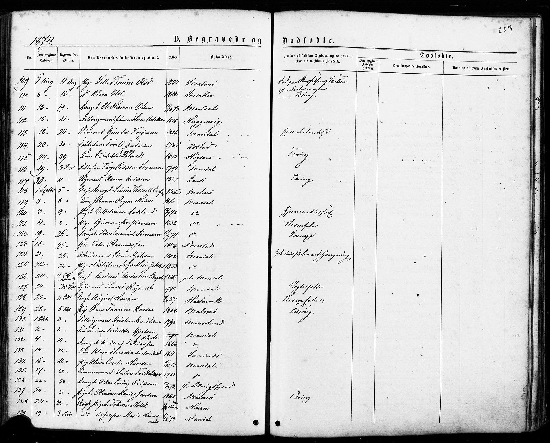 Mandal sokneprestkontor, AV/SAK-1111-0030/F/Fa/Faa/L0015: Parish register (official) no. A 15, 1873-1879, p. 253