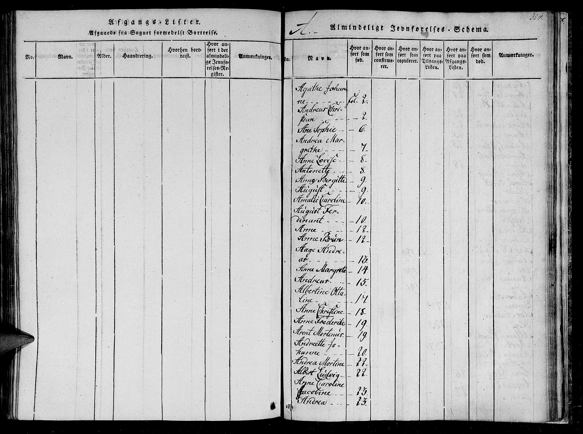 Ministerialprotokoller, klokkerbøker og fødselsregistre - Sør-Trøndelag, SAT/A-1456/602/L0107: Parish register (official) no. 602A05, 1815-1821, p. 324