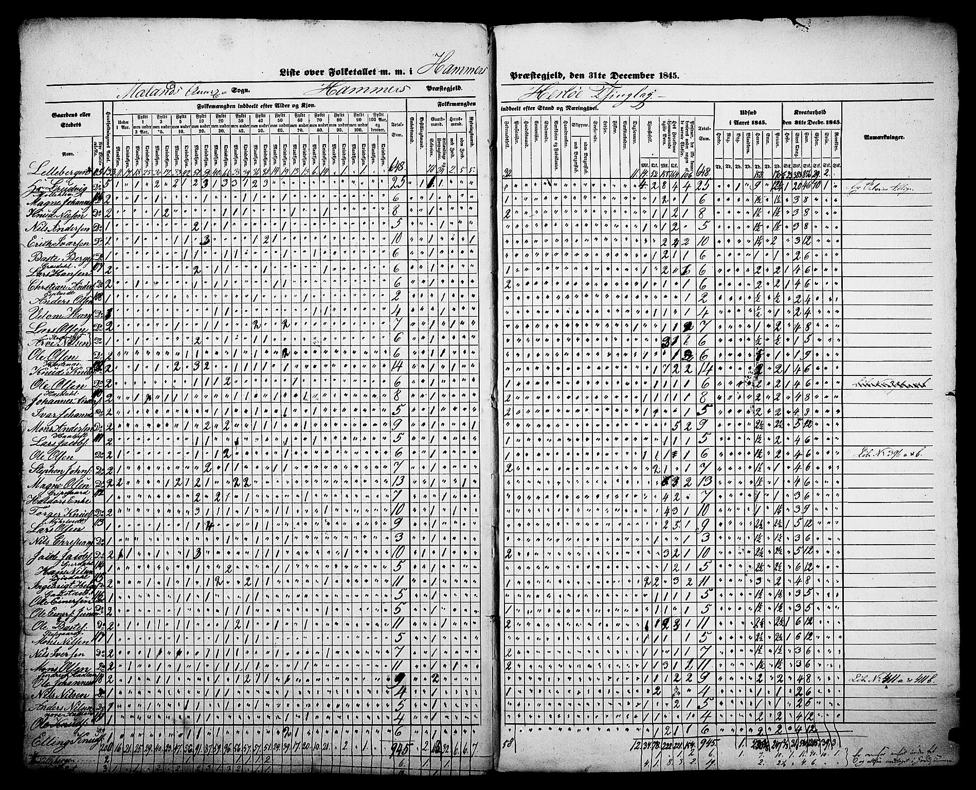 , Census 1845 for Hamre, 1845, p. 31