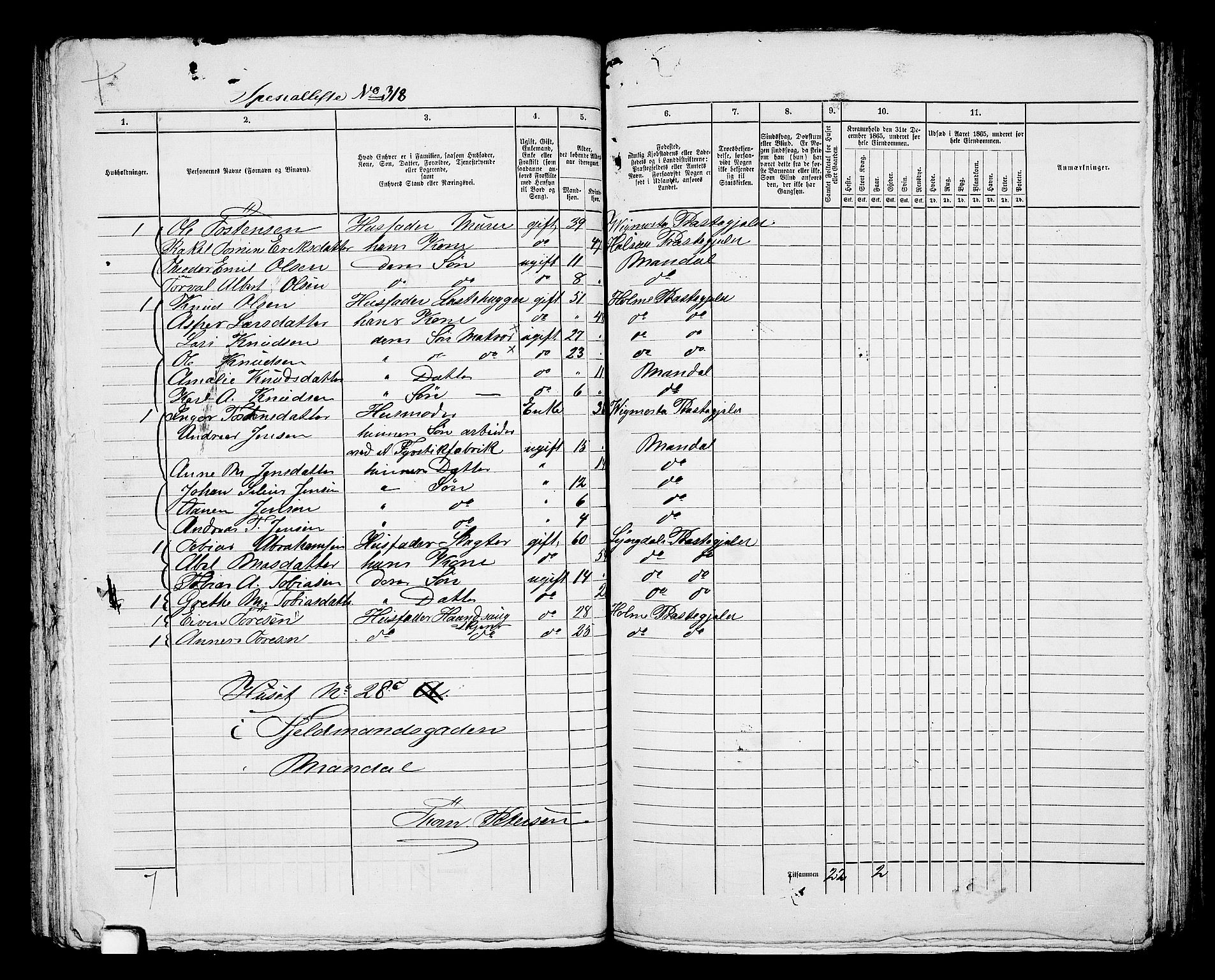 RA, 1865 census for Mandal/Mandal, 1865, p. 643