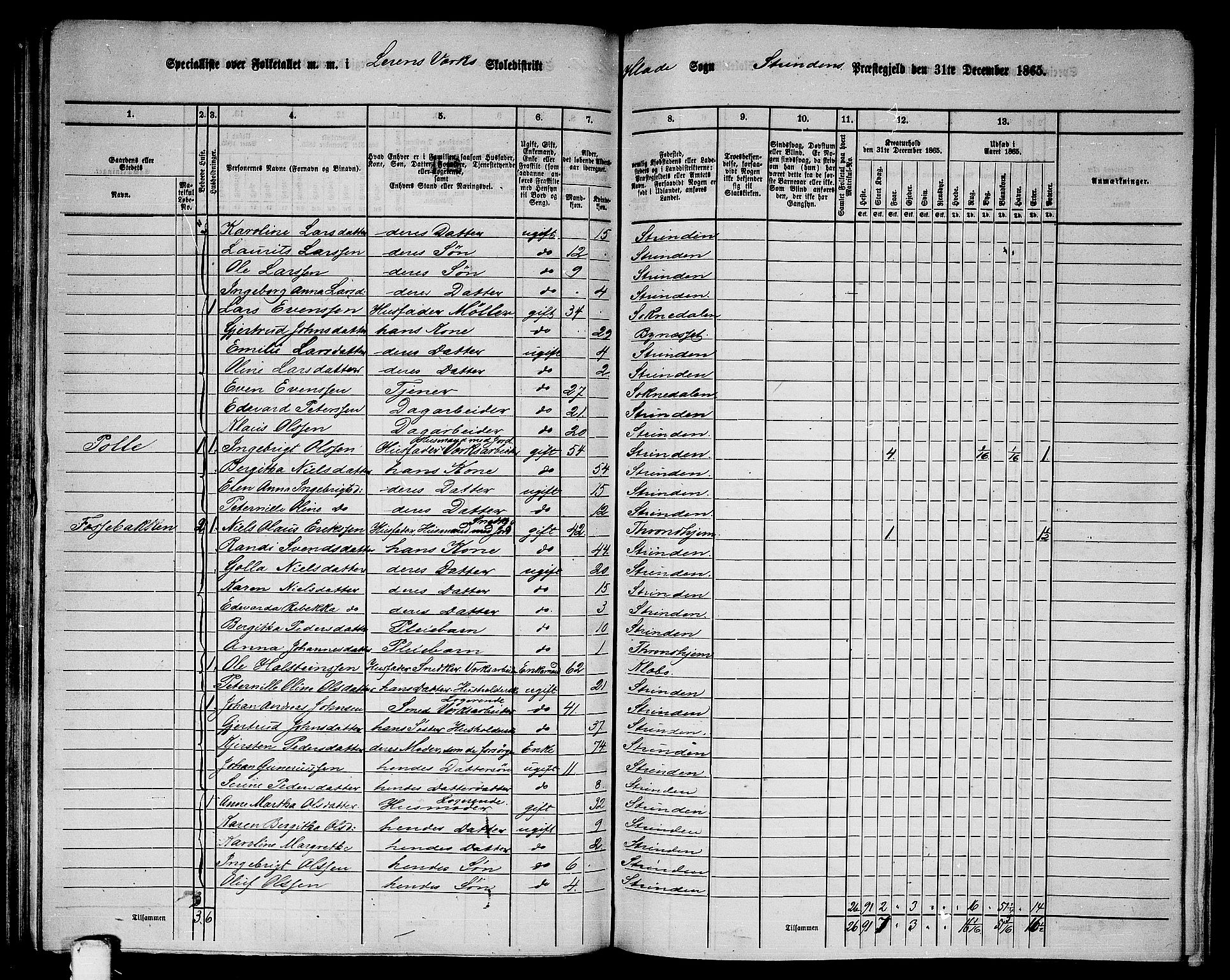 RA, 1865 census for Strinda, 1865, p. 135