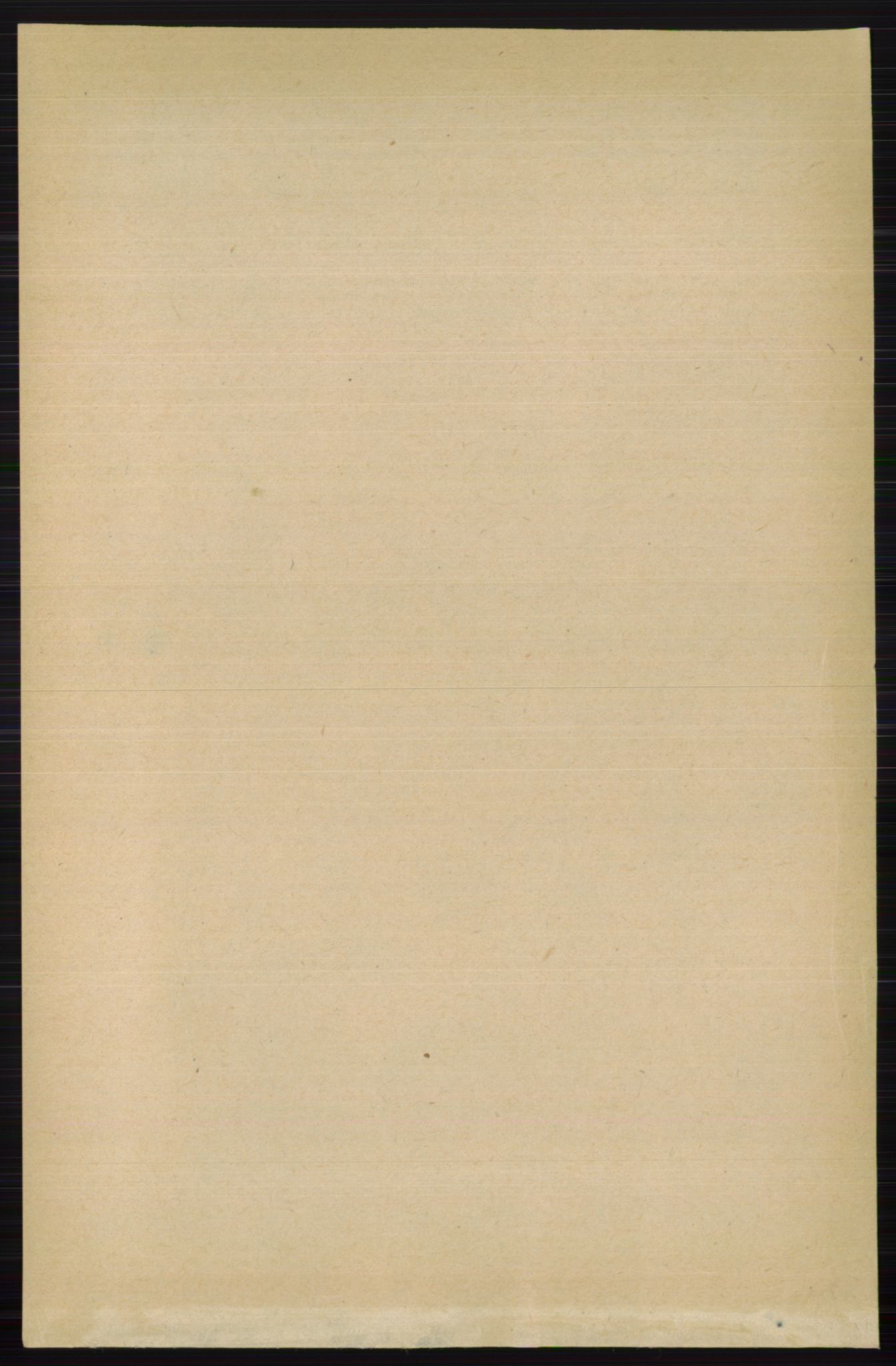 RA, 1891 census for 0540 Sør-Aurdal, 1891, p. 3154