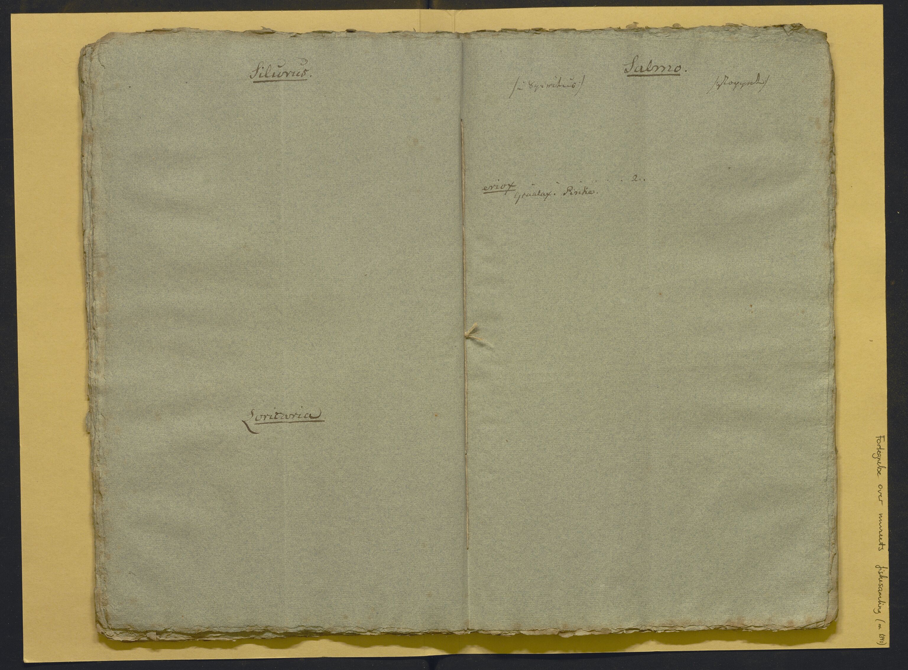 Bergens Museum, AV/SAB-A-17301/02/F/L0001: Kataloger over gjenstander og pergamentbrev , 1825-1880, p. 511