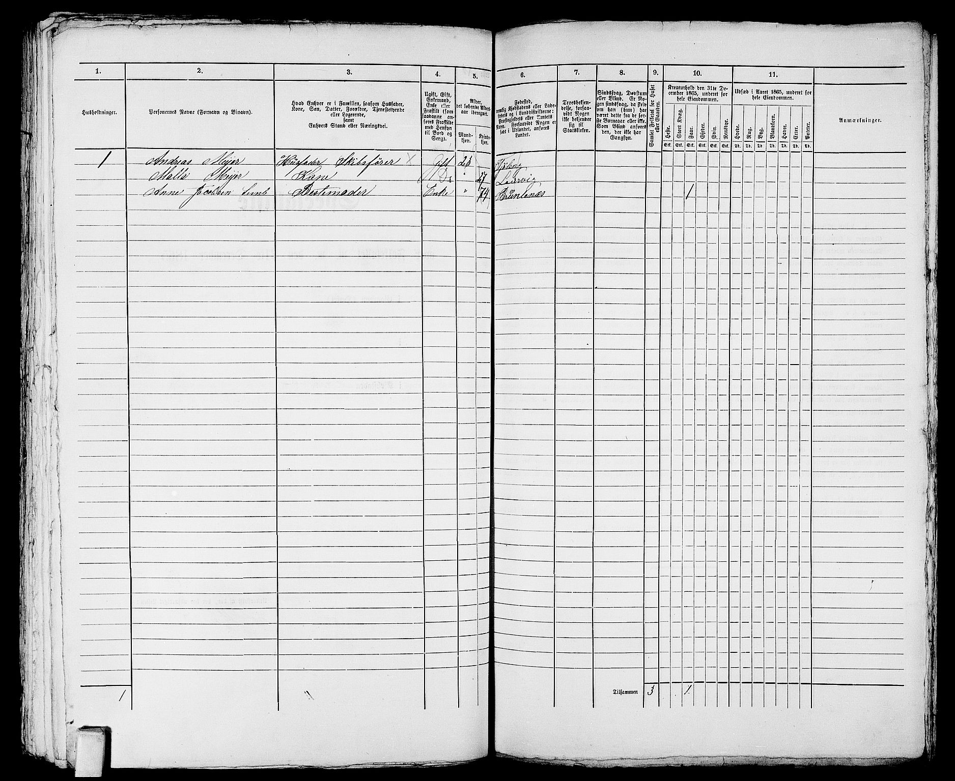 RA, 1865 census for Larvik, 1865, p. 1026