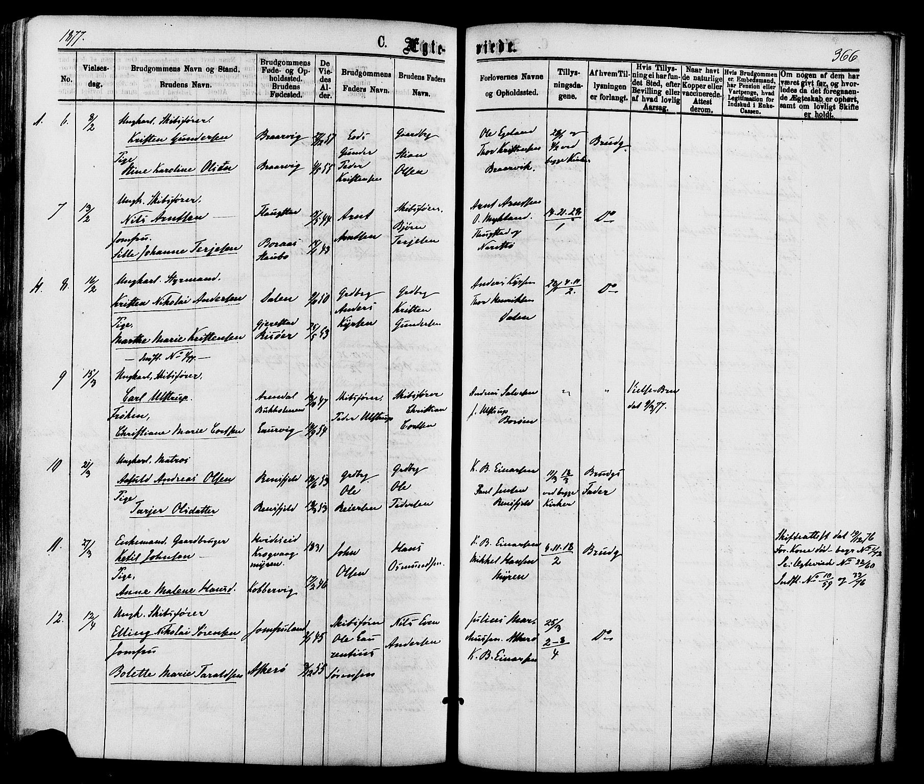 Dypvåg sokneprestkontor, AV/SAK-1111-0007/F/Fa/Faa/L0007: Parish register (official) no. A 7/ 1, 1872-1884, p. 366