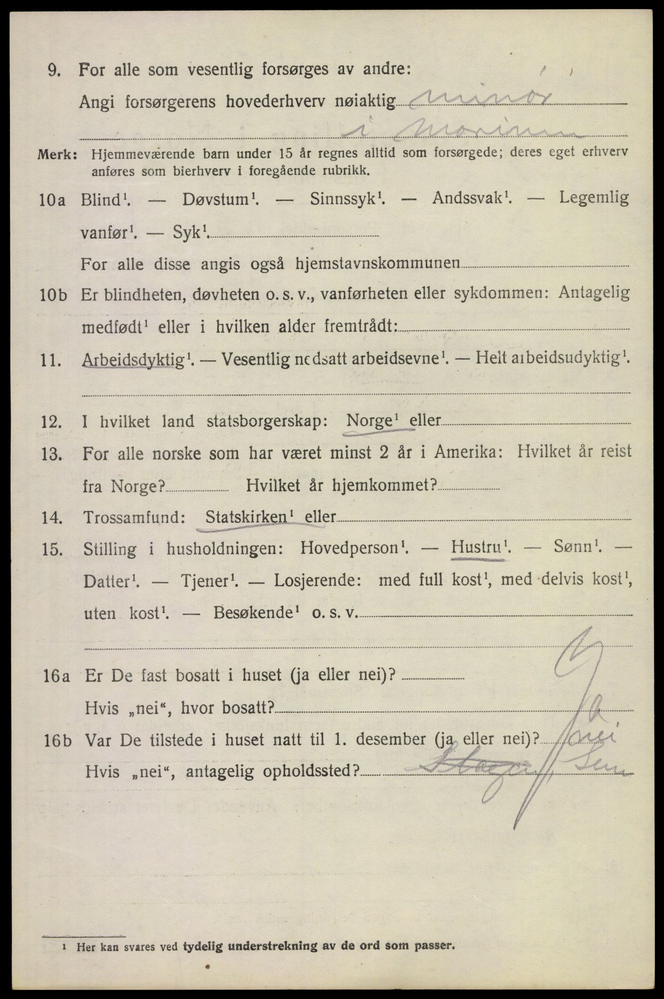SAKO, 1920 census for Borre, 1920, p. 4971
