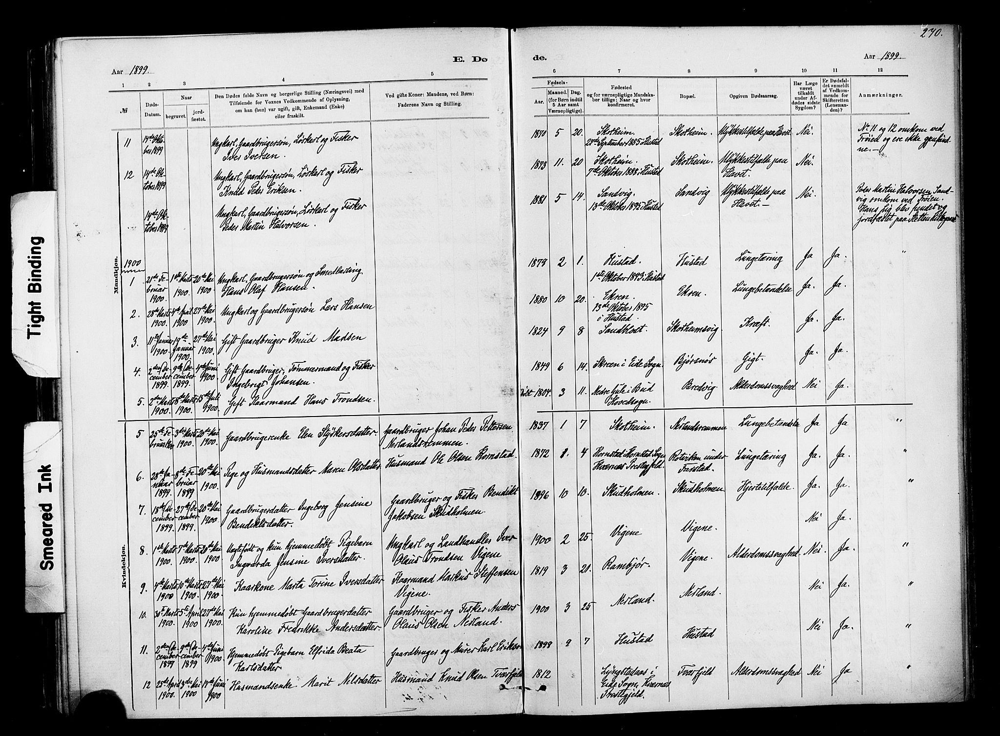 Ministerialprotokoller, klokkerbøker og fødselsregistre - Møre og Romsdal, AV/SAT-A-1454/567/L0778: Parish register (official) no. 567A01, 1881-1903, p. 270