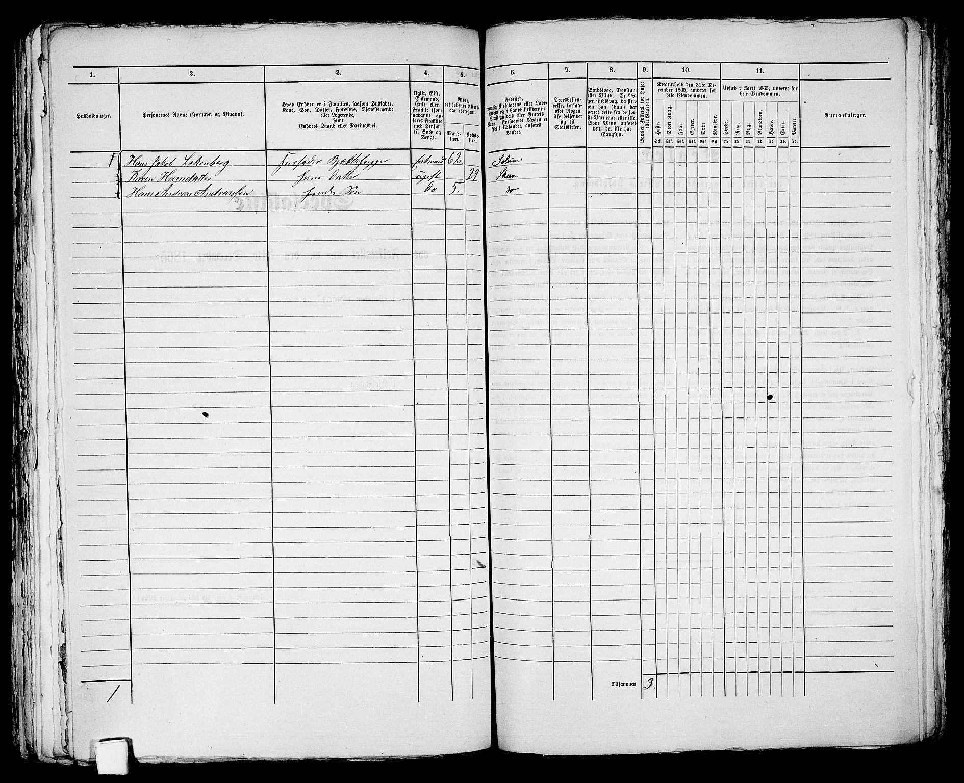 RA, 1865 census for Skien, 1865, p. 1064