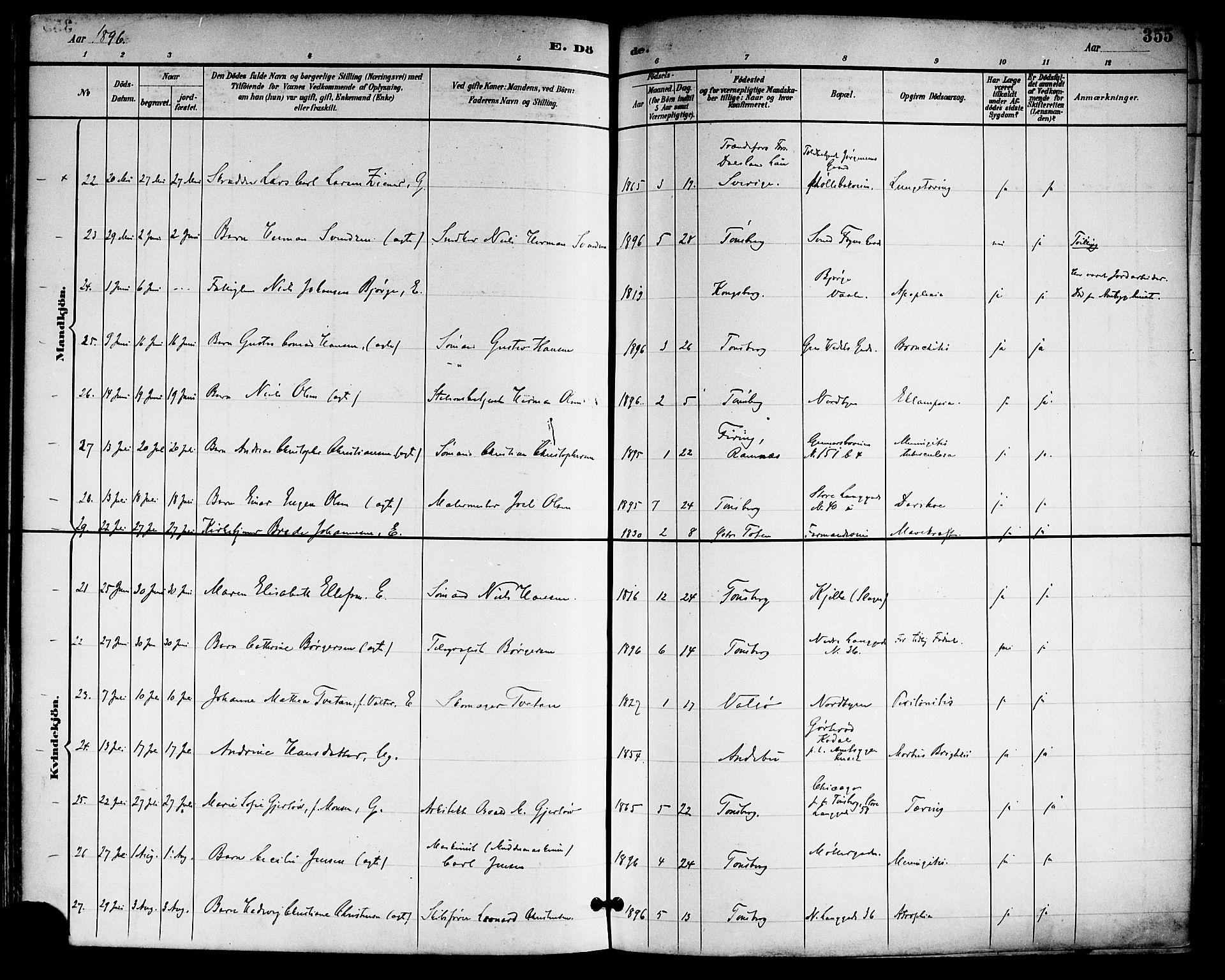 Tønsberg kirkebøker, AV/SAKO-A-330/F/Fa/L0012: Parish register (official) no. I 12, 1891-1899, p. 355