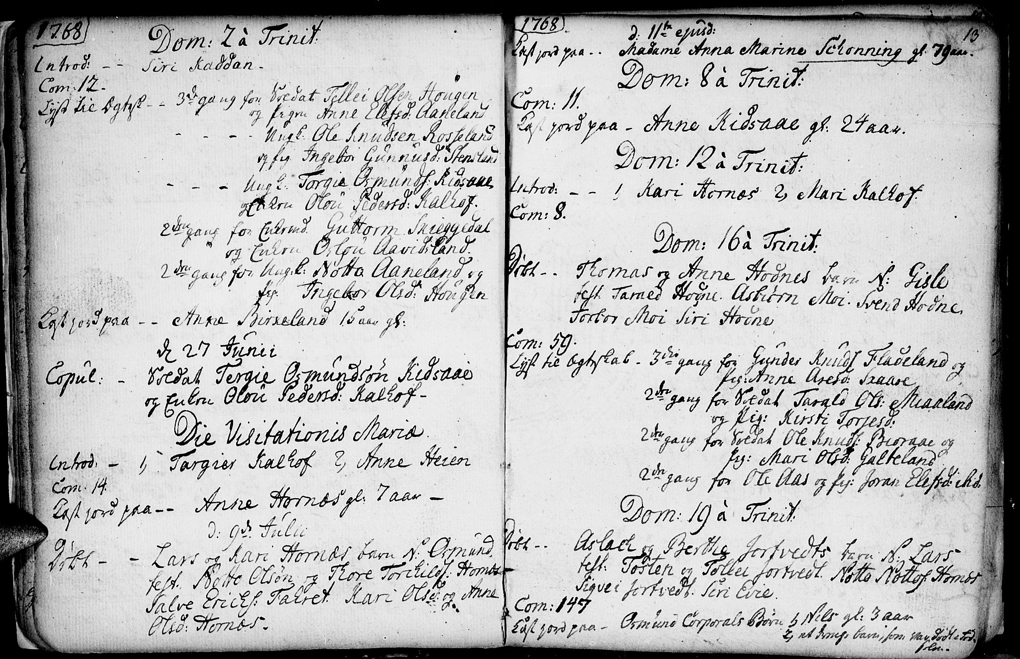 Evje sokneprestkontor, SAK/1111-0008/F/Fa/Fab/L0002: Parish register (official) no. A 2, 1765-1816, p. 13