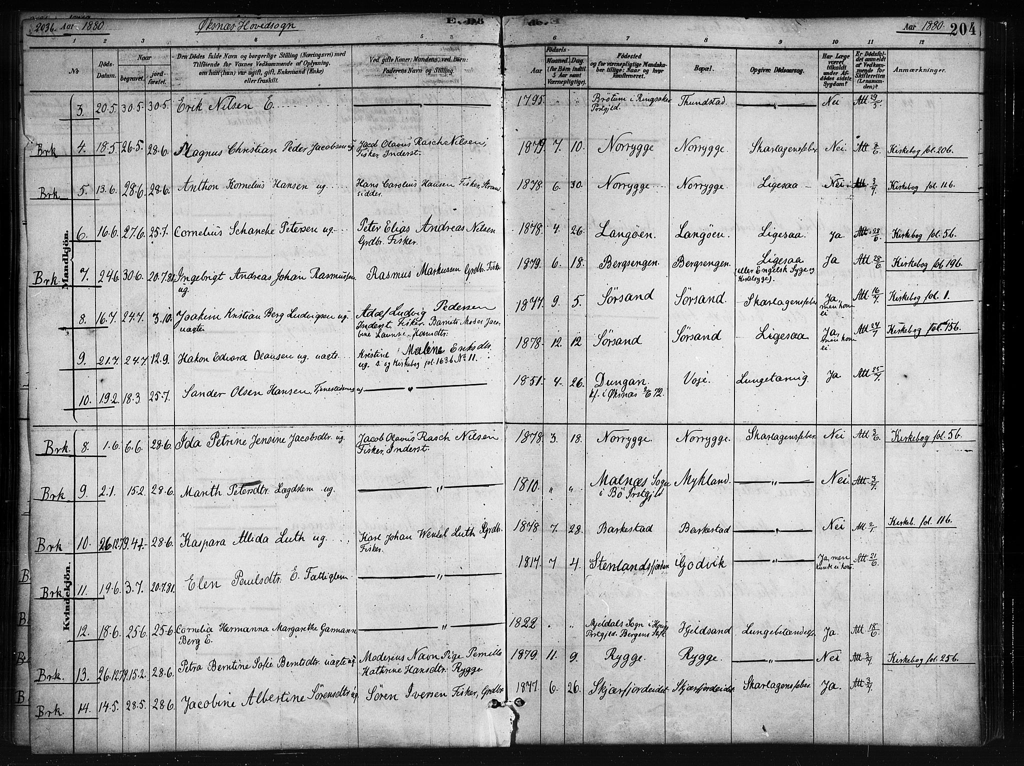 Ministerialprotokoller, klokkerbøker og fødselsregistre - Nordland, SAT/A-1459/893/L1335: Parish register (official) no. 893A08 /1, 1878-1884, p. 204