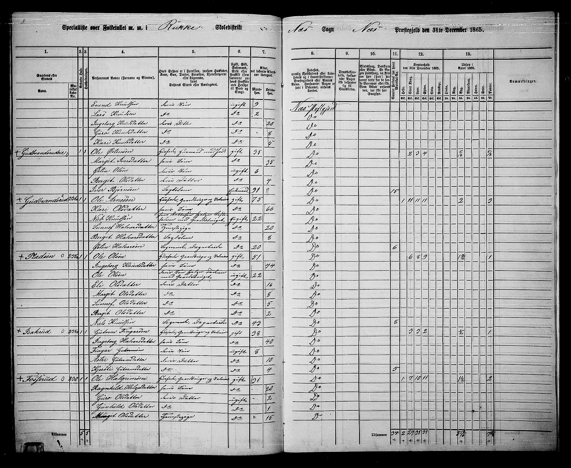 RA, 1865 census for Nes, 1865, p. 190