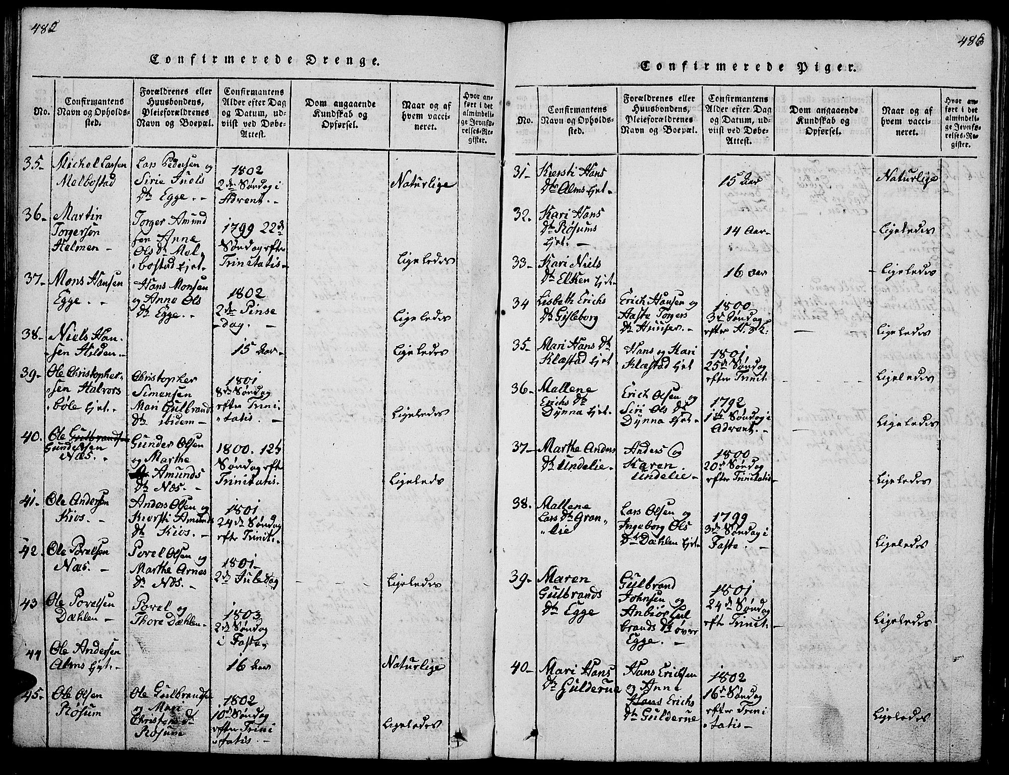 Gran prestekontor, AV/SAH-PREST-112/H/Ha/Hab/L0001: Parish register (copy) no. 1, 1815-1824, p. 482-483