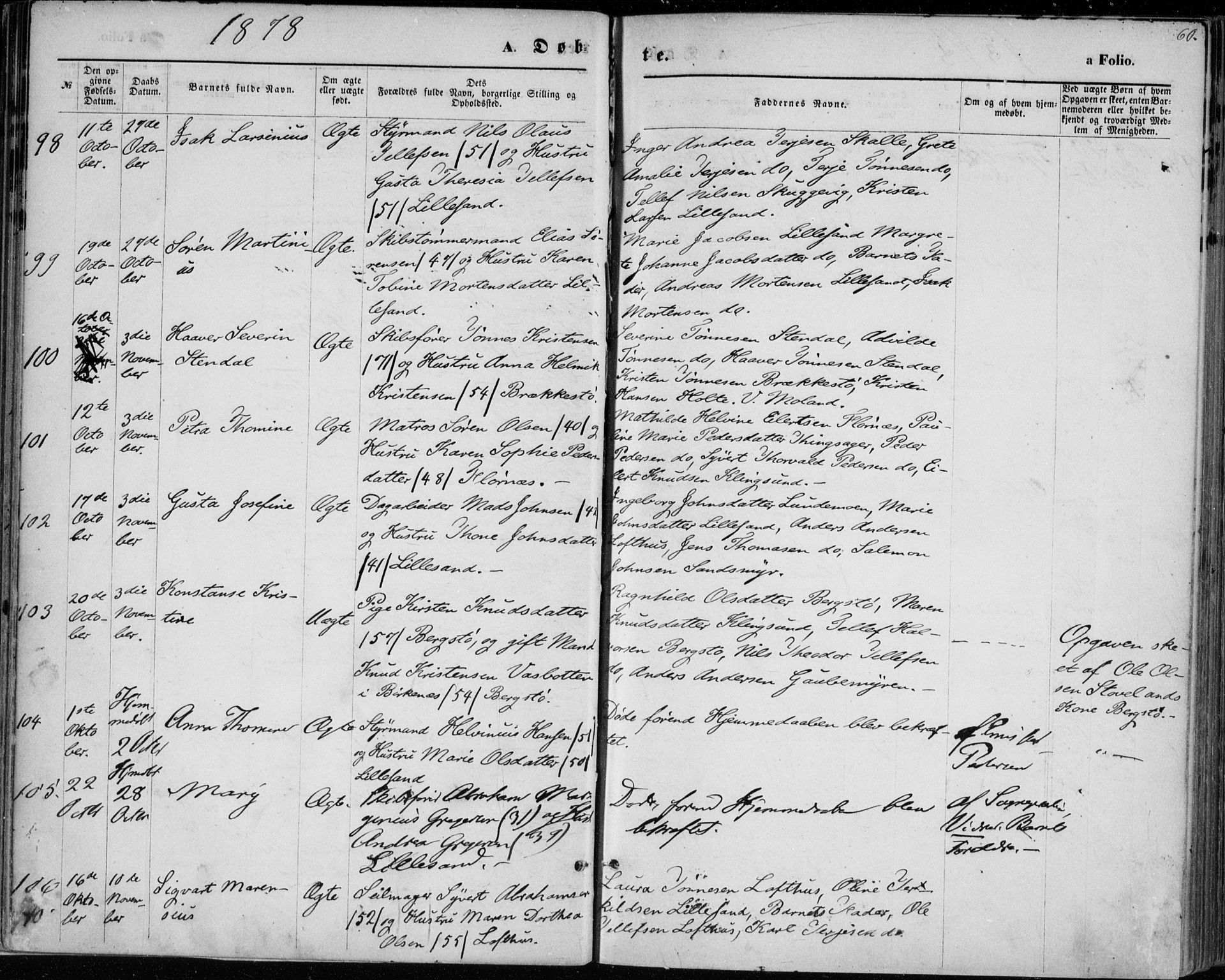 Vestre Moland sokneprestkontor, AV/SAK-1111-0046/F/Fa/Fab/L0008: Parish register (official) no. A 8, 1873-1883, p. 60