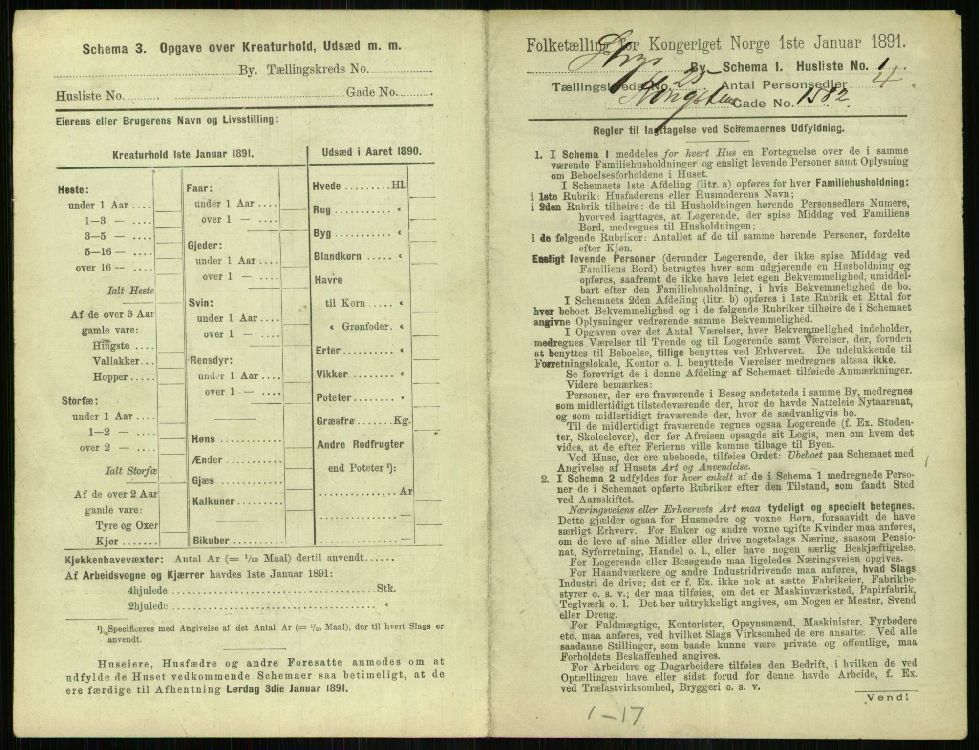 RA, 1891 census for 1103 Stavanger, 1891, p. 4785