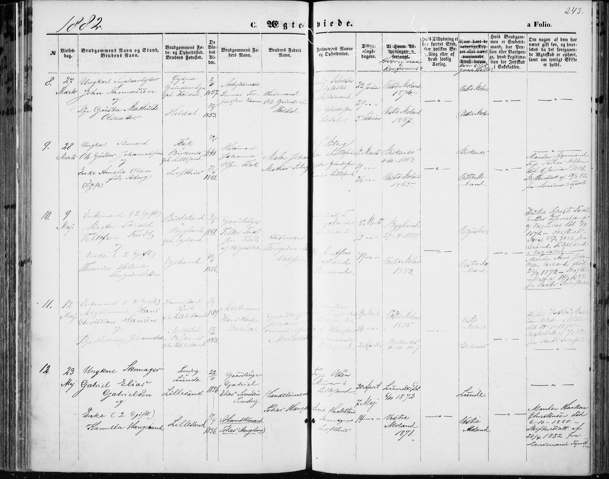 Vestre Moland sokneprestkontor, AV/SAK-1111-0046/F/Fa/Fab/L0008: Parish register (official) no. A 8, 1873-1883, p. 243