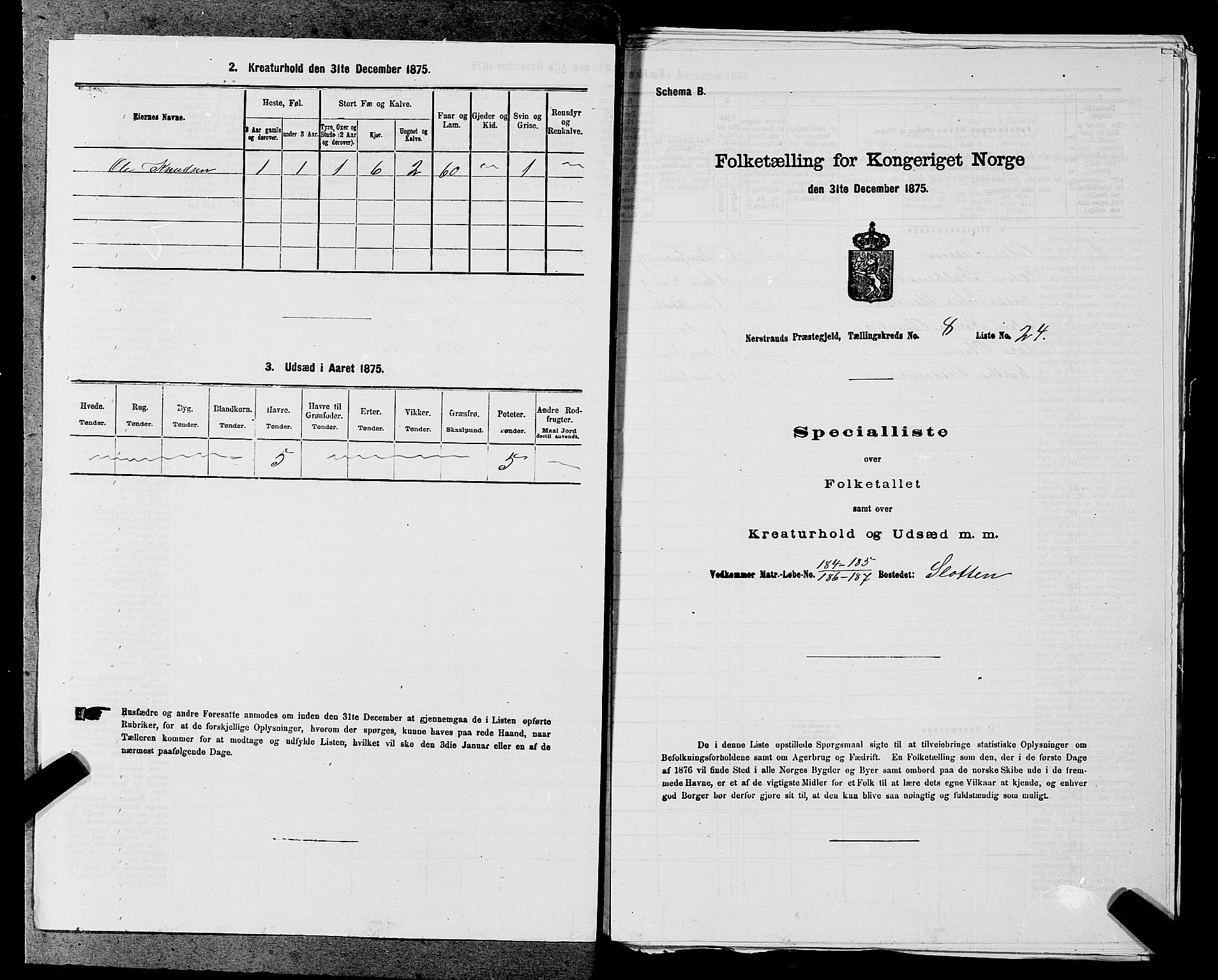 SAST, 1875 census for 1139P Nedstrand, 1875, p. 907