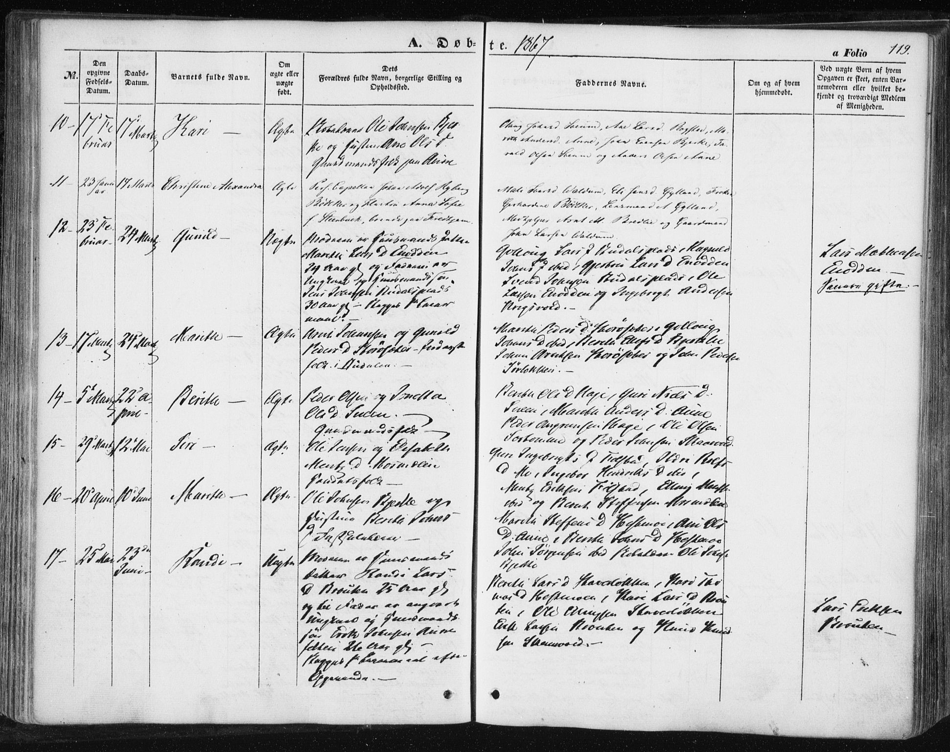 Ministerialprotokoller, klokkerbøker og fødselsregistre - Sør-Trøndelag, SAT/A-1456/687/L1000: Parish register (official) no. 687A06, 1848-1869, p. 119