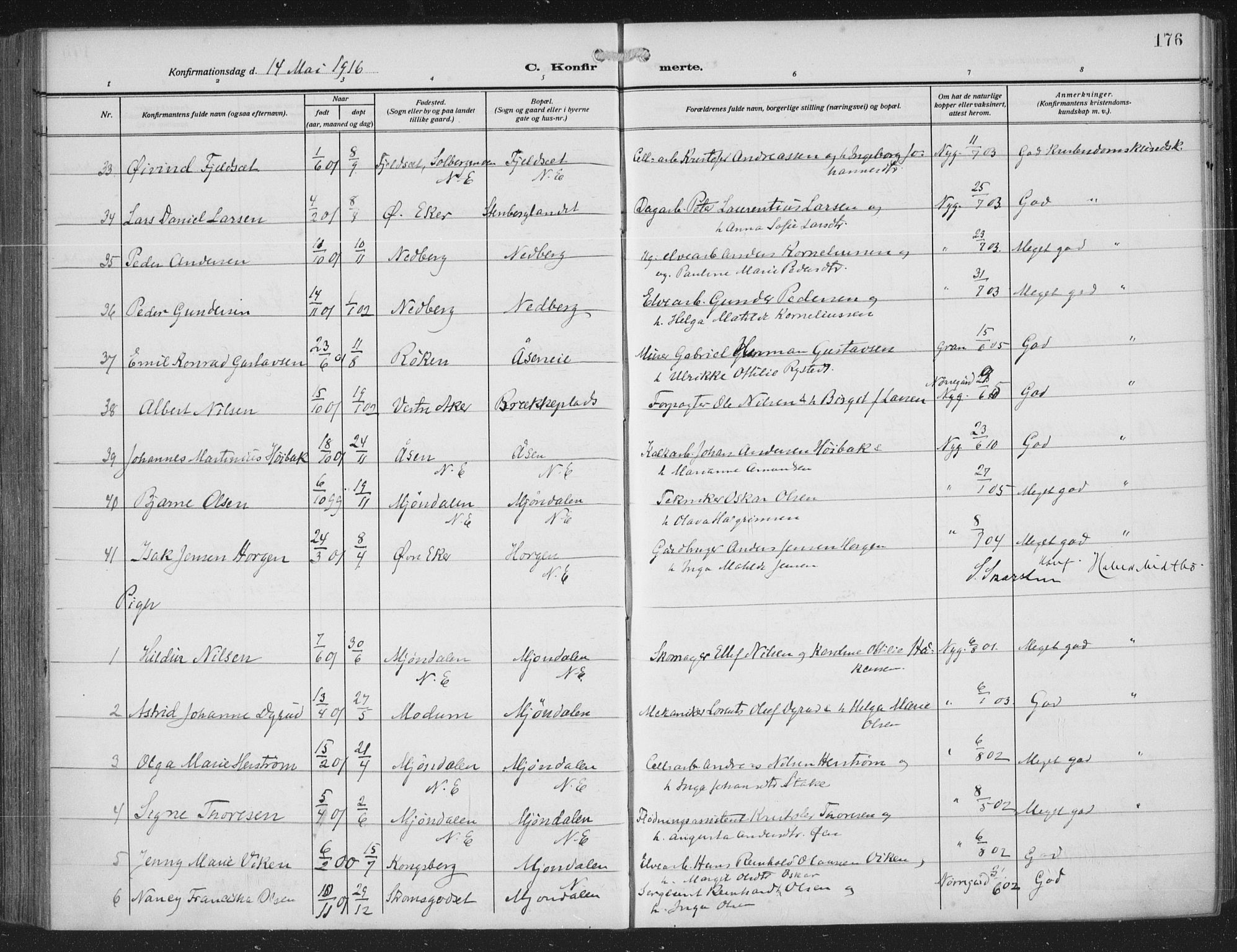 Nedre Eiker kirkebøker, AV/SAKO-A-612/F/Fa/L0007: Parish register (official) no. 7, 1912-1918, p. 176