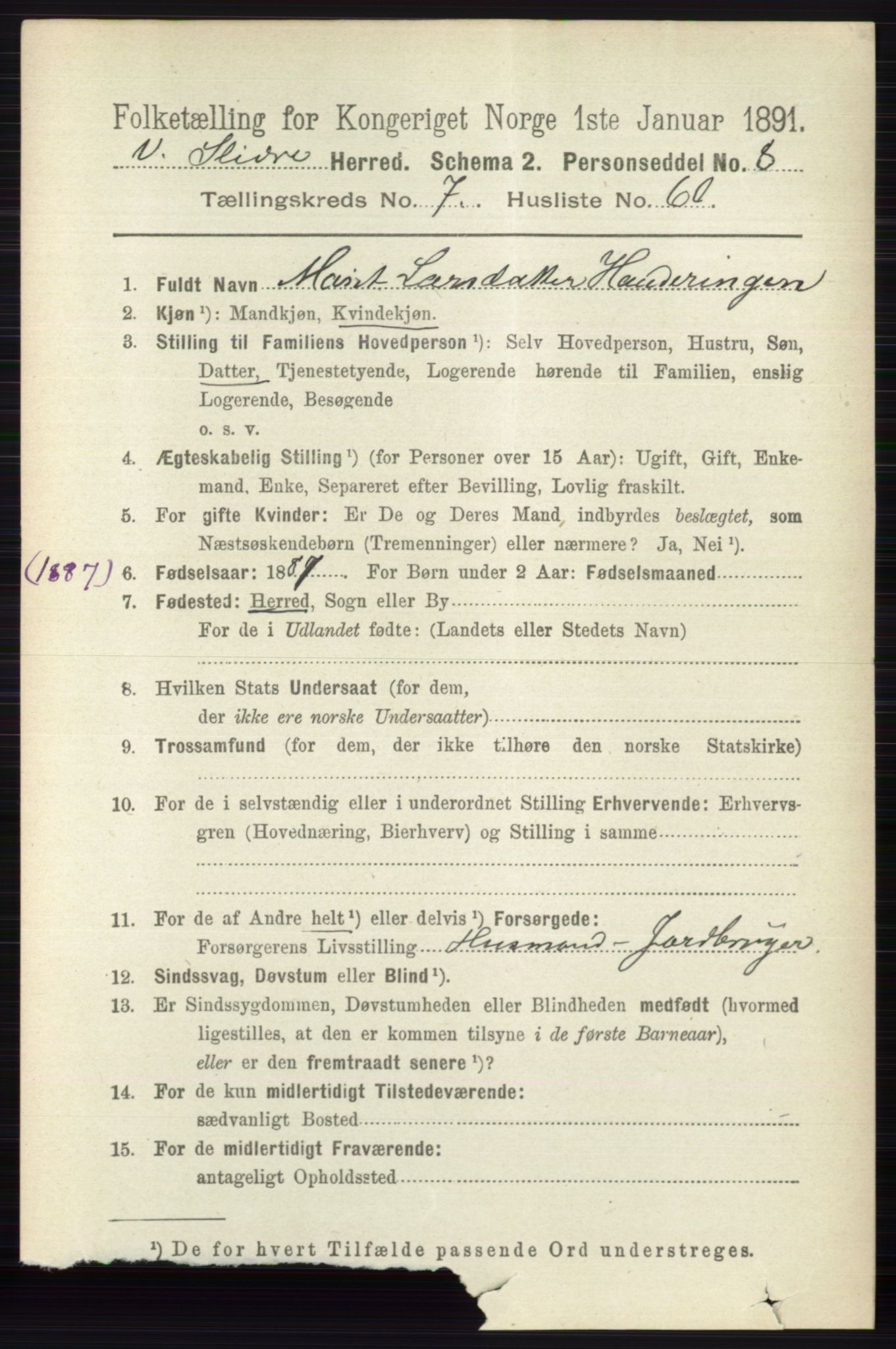 RA, 1891 census for 0543 Vestre Slidre, 1891, p. 2926