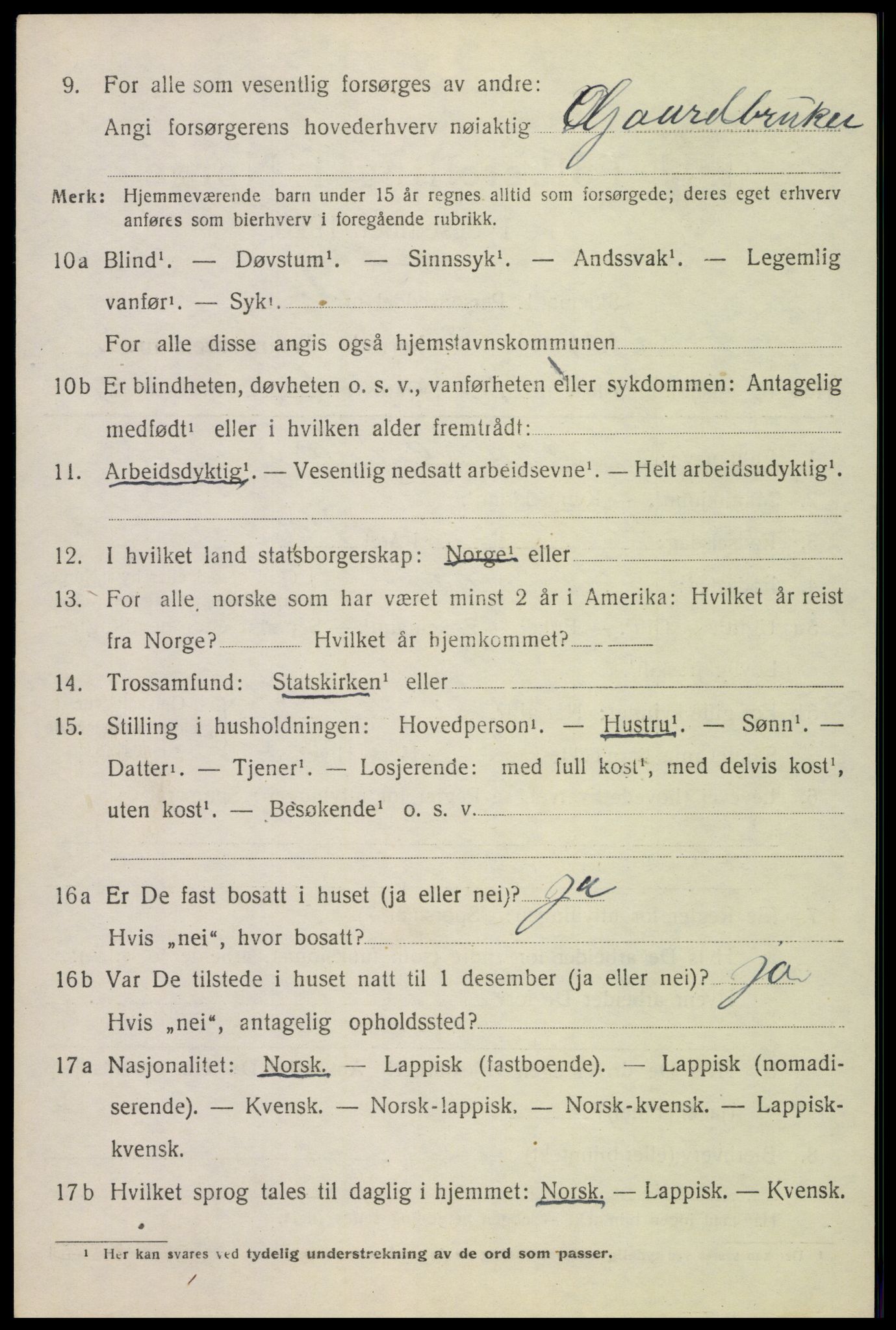 SAT, 1920 census for Tysfjord, 1920, p. 6262