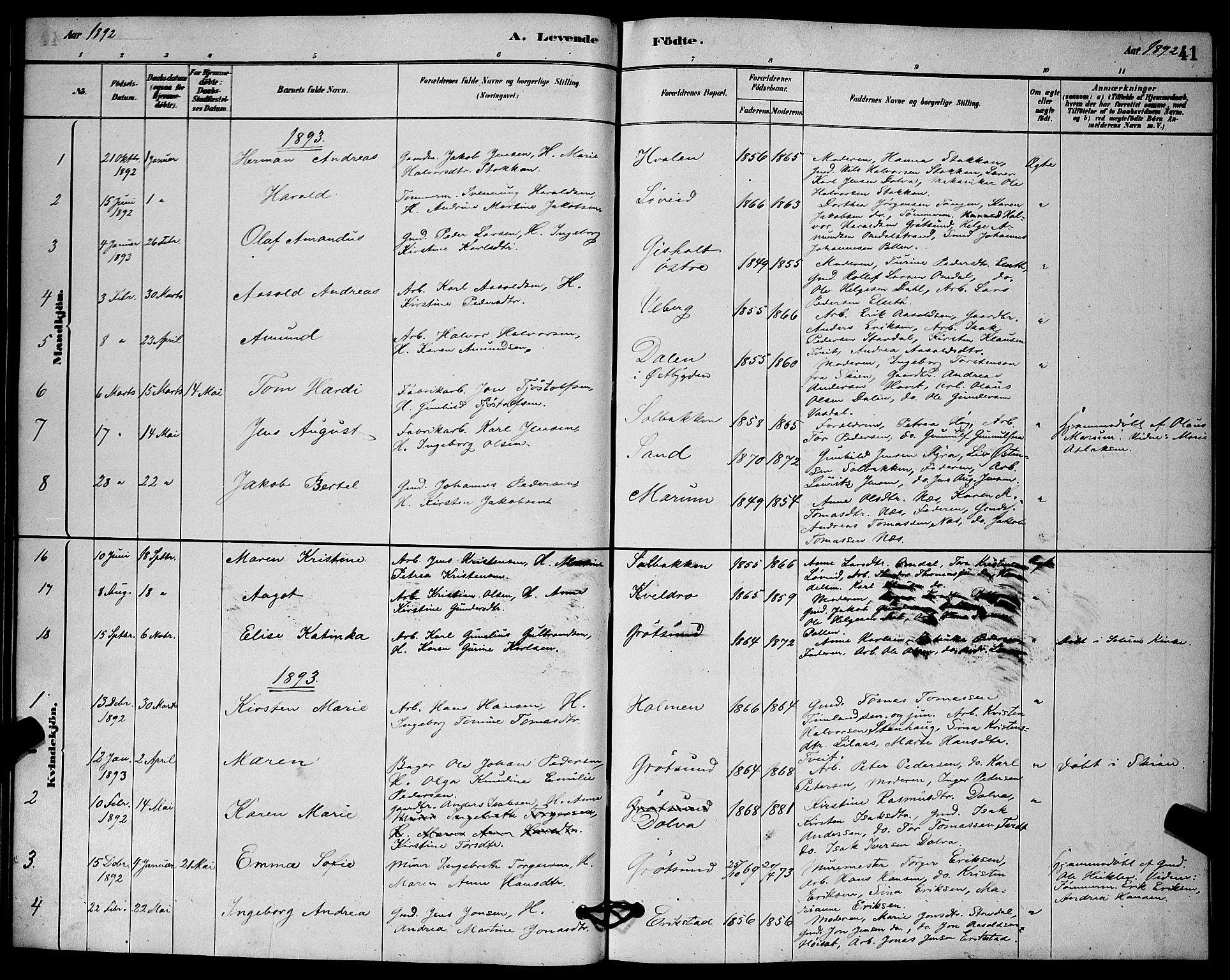 Solum kirkebøker, SAKO/A-306/G/Gb/L0003: Parish register (copy) no. II 3, 1880-1898, p. 41