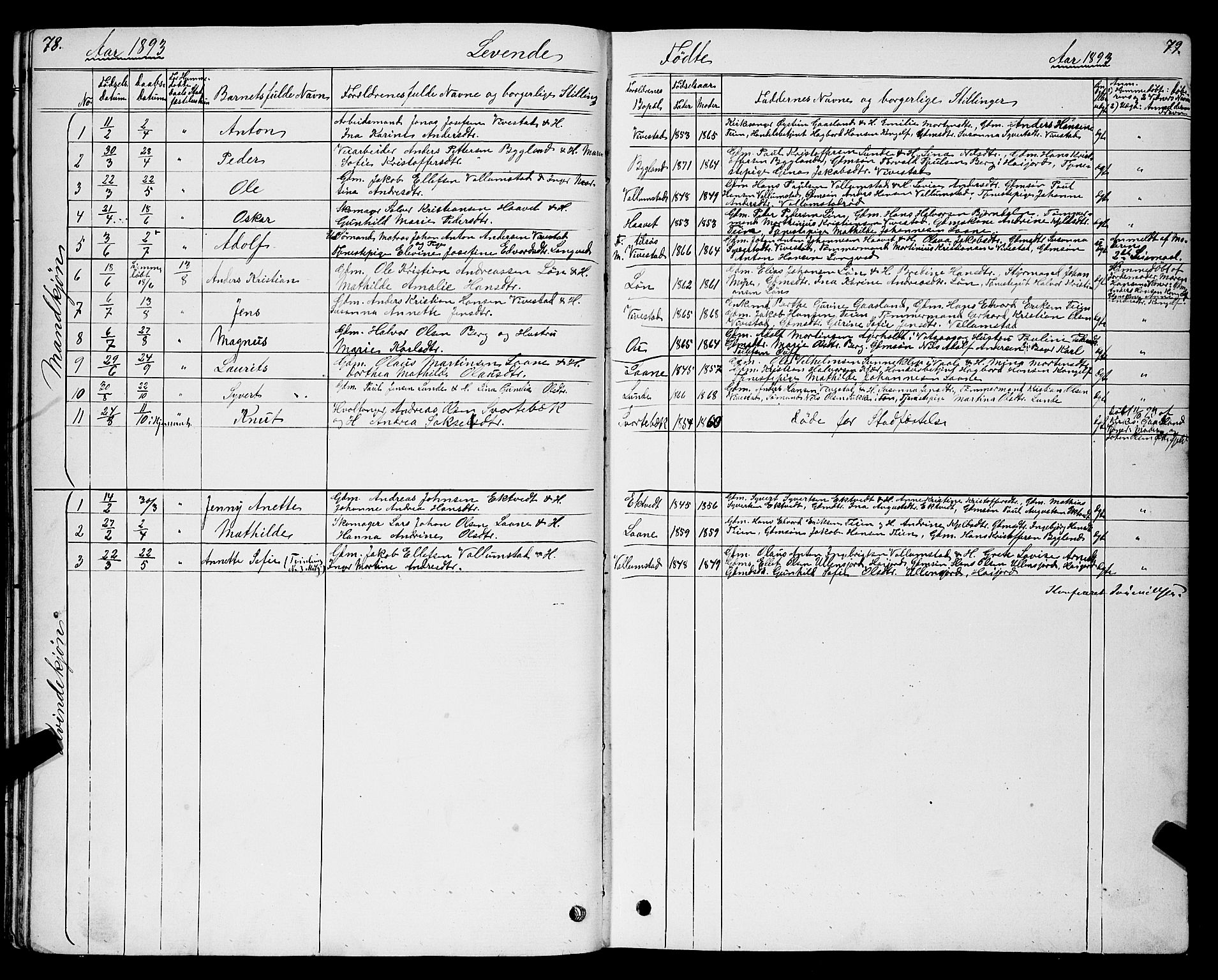 Ramnes kirkebøker, AV/SAKO-A-314/G/Gc/L0001: Parish register (copy) no. III 1, 1869-1903, p. 78-79