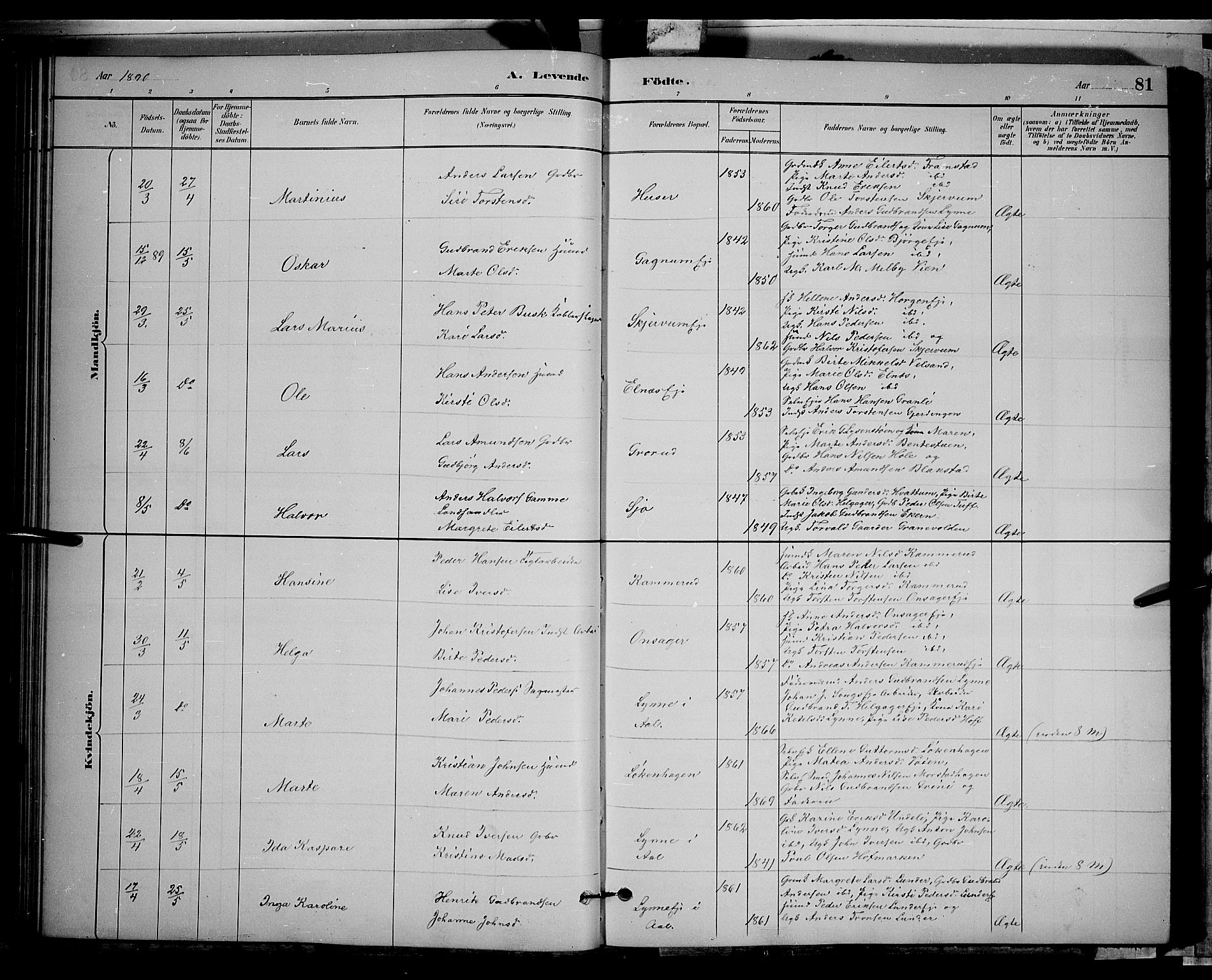 Gran prestekontor, SAH/PREST-112/H/Ha/Hab/L0002: Parish register (copy) no. 2, 1879-1892, p. 81