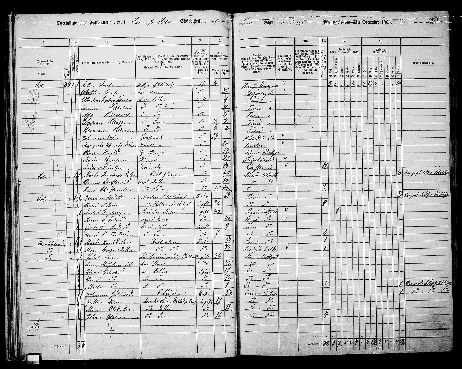 RA, 1865 census for Tune, 1865, p. 47