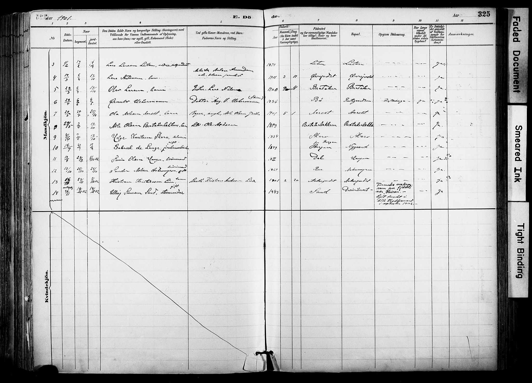 Hol kirkebøker, SAKO/A-227/F/Fa/L0003: Parish register (official) no. I 3, 1887-1918, p. 325