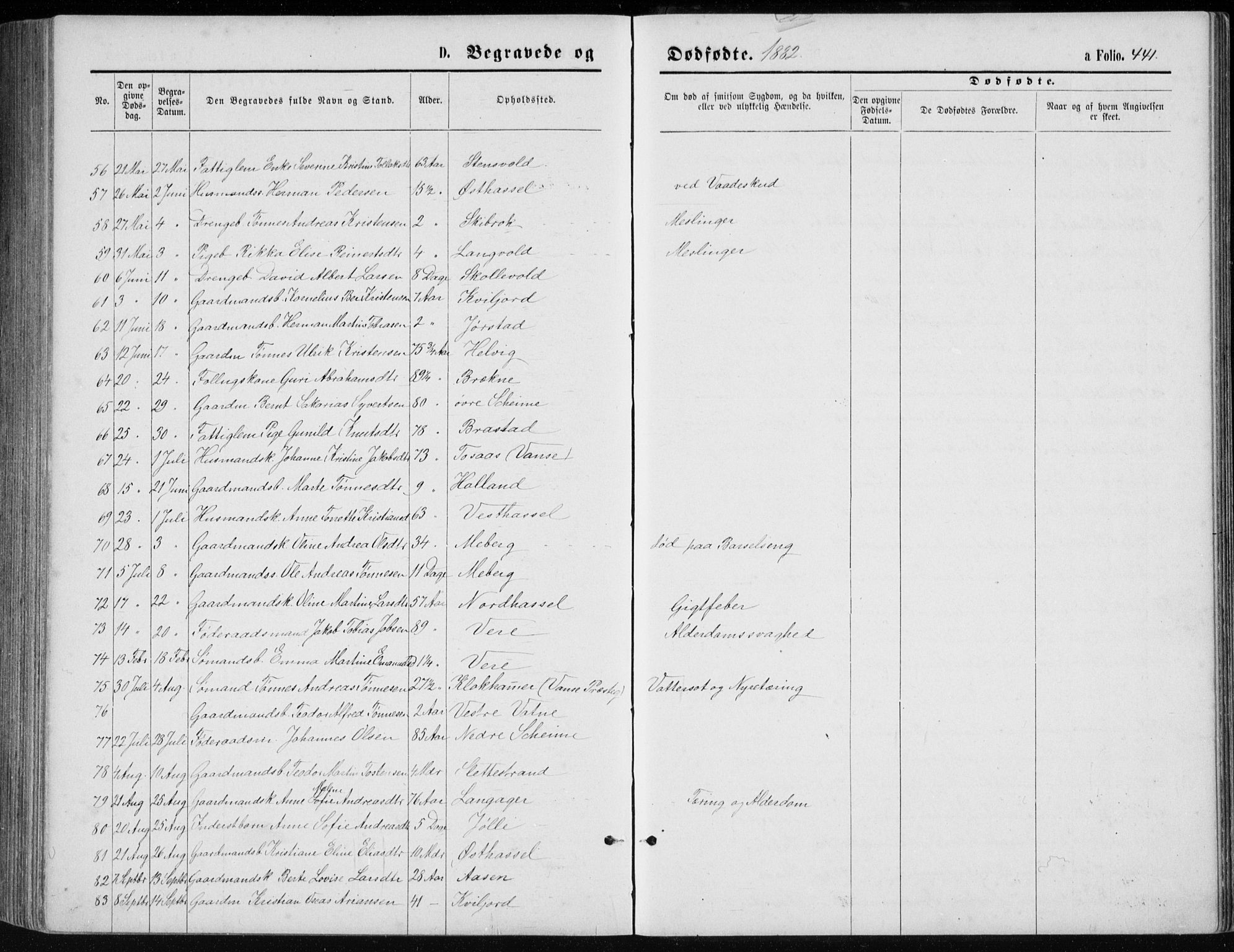 Lista sokneprestkontor, AV/SAK-1111-0027/F/Fb/L0004: Parish register (copy) no. B 4, 1877-1891, p. 441