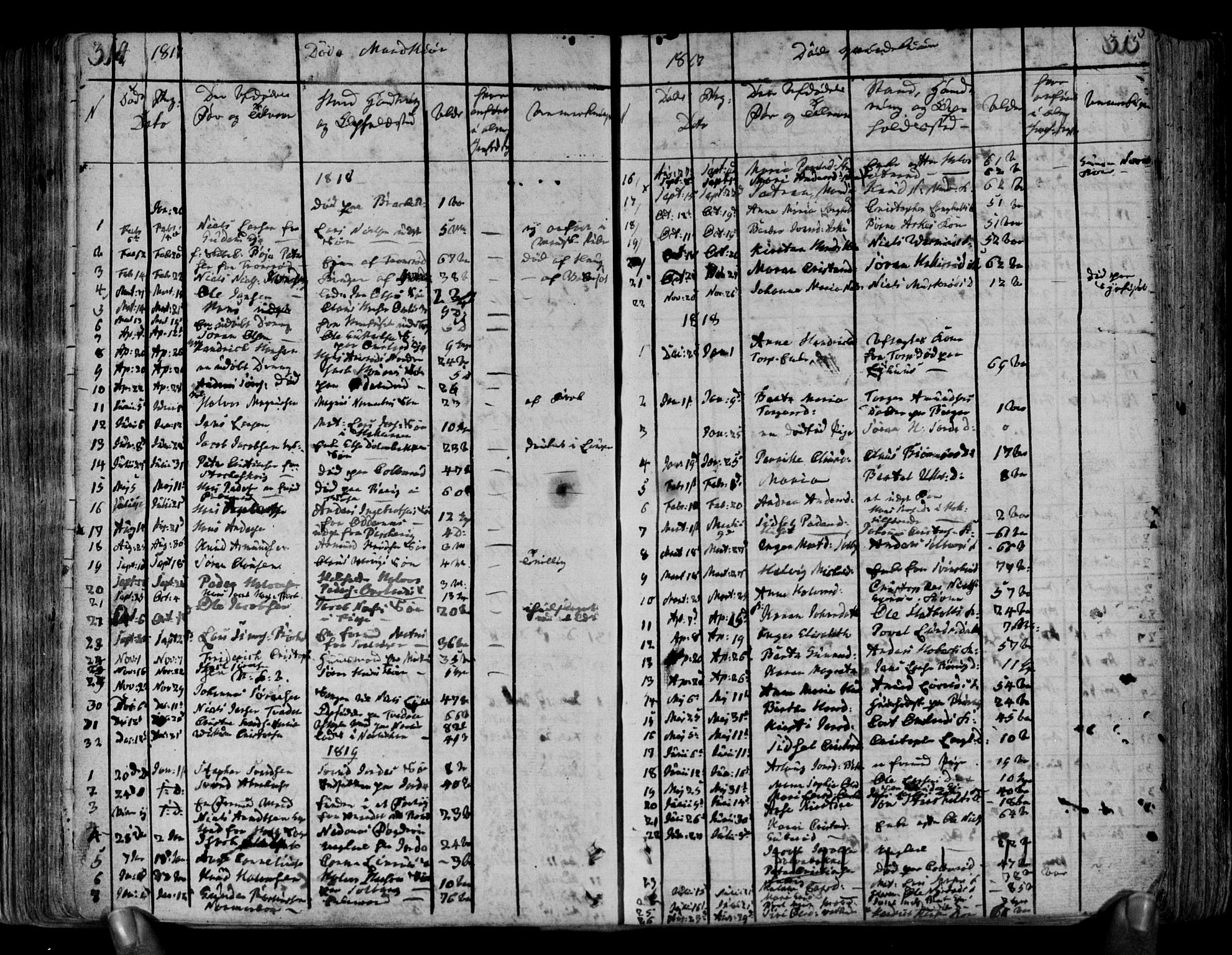 Brunlanes kirkebøker, AV/SAKO-A-342/F/Fa/L0002: Parish register (official) no. I 2, 1802-1834, p. 314-315