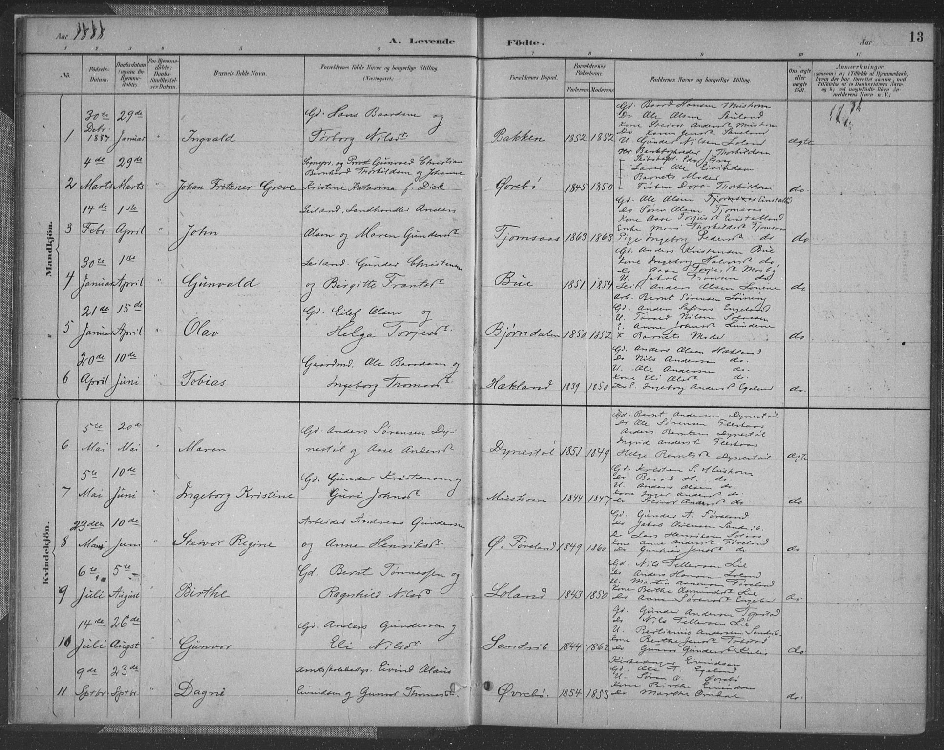 Vennesla sokneprestkontor, AV/SAK-1111-0045/Fa/Fac/L0009: Parish register (official) no. A 9, 1884-1901, p. 13