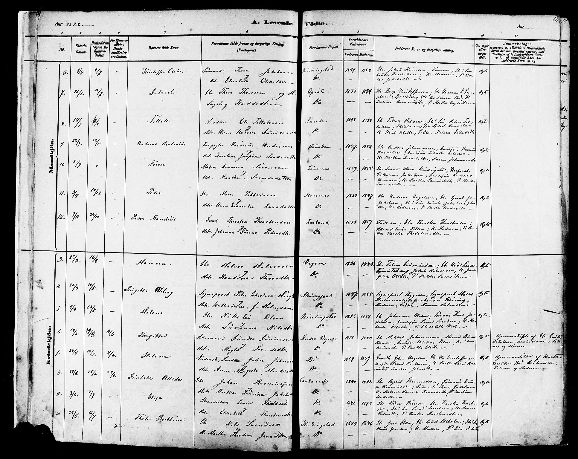 Finnøy sokneprestkontor, AV/SAST-A-101825/H/Ha/Haa/L0010: Parish register (official) no. A 10, 1879-1890, p. 12