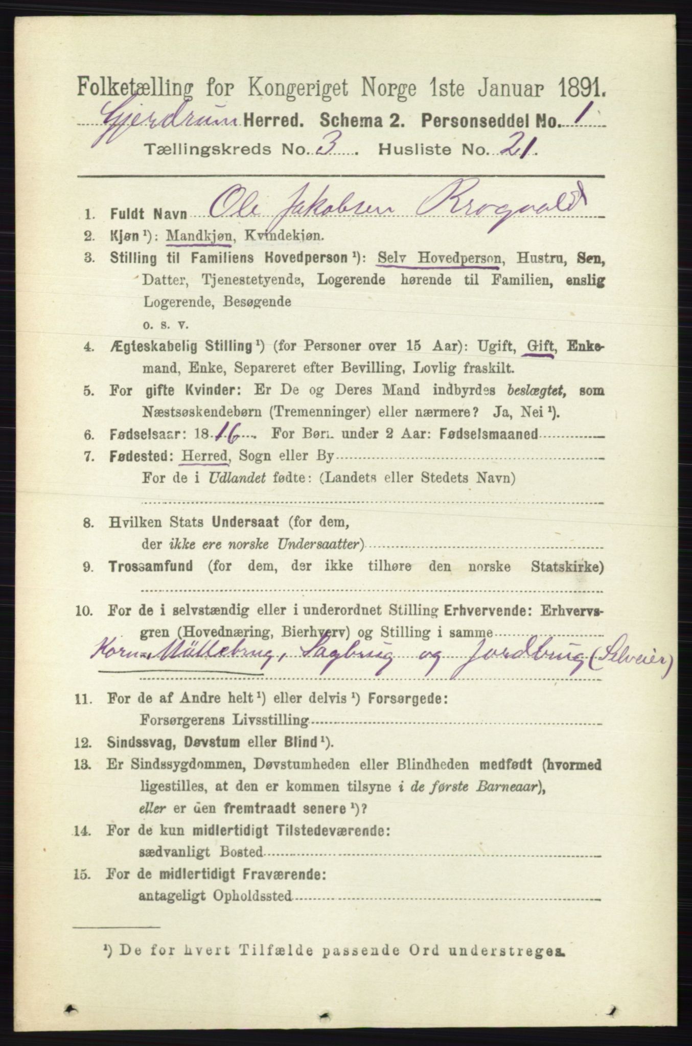 RA, 1891 census for 0234 Gjerdrum, 1891, p. 1371