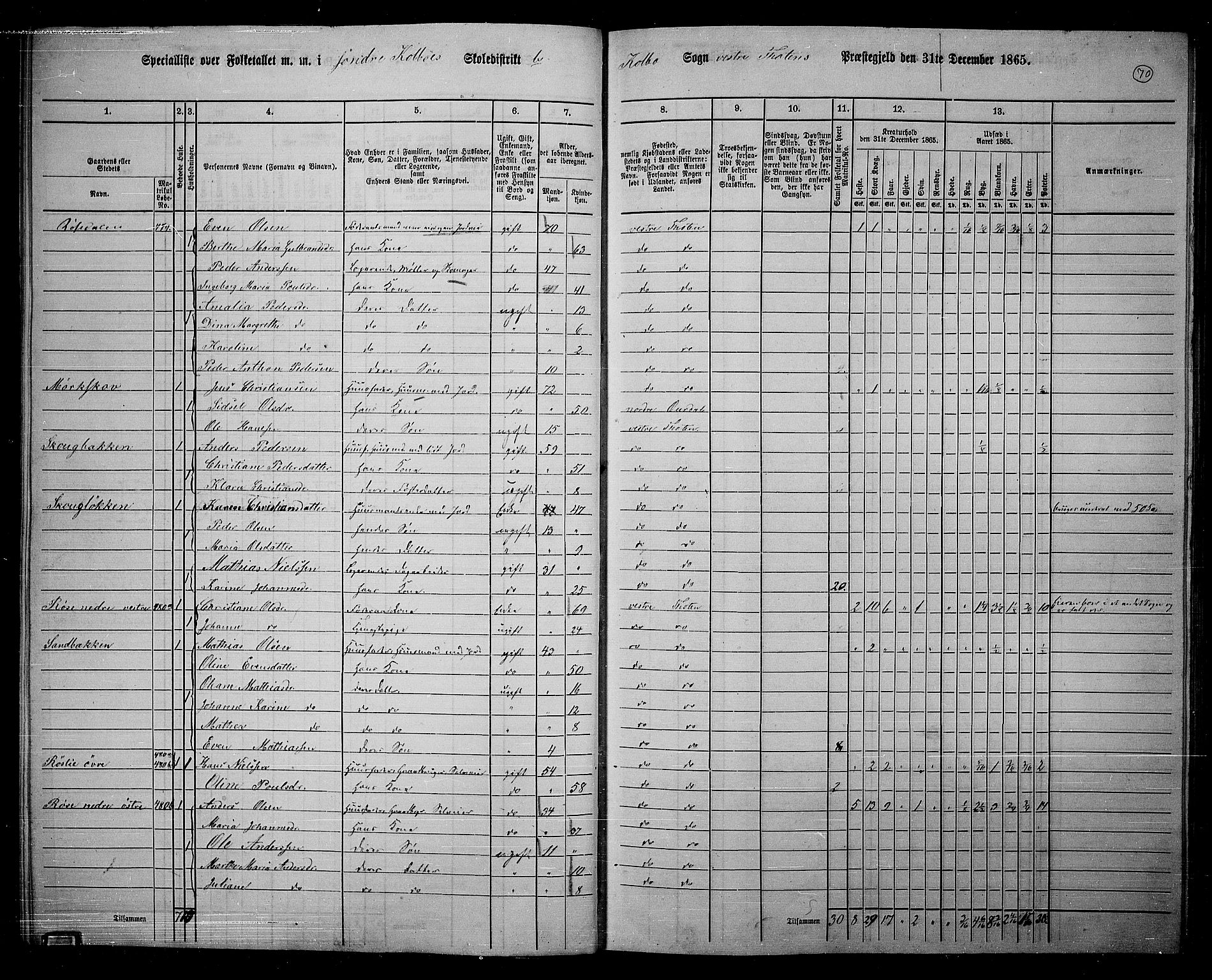 RA, 1865 census for Vestre Toten, 1865, p. 224