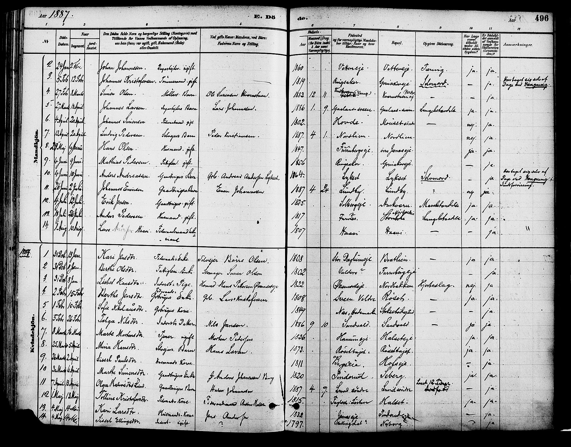 Vang prestekontor, Hedmark, SAH/PREST-008/H/Ha/Haa/L0018B: Parish register (official) no. 18B, 1880-1906, p. 496