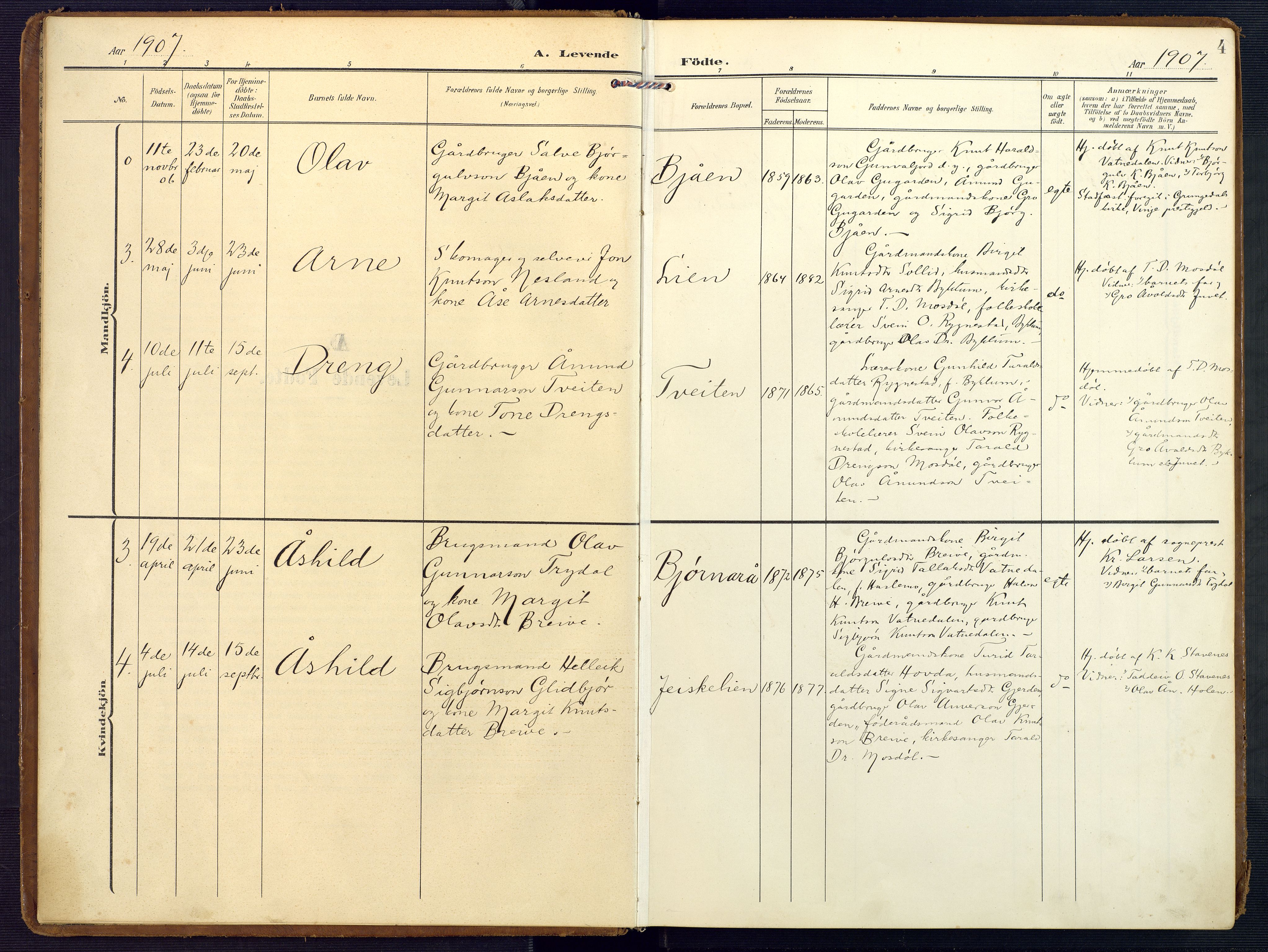 Valle sokneprestkontor, SAK/1111-0044/F/Fa/Faa/L0002: Parish register (official) no. A 2, 1907-1919, p. 4