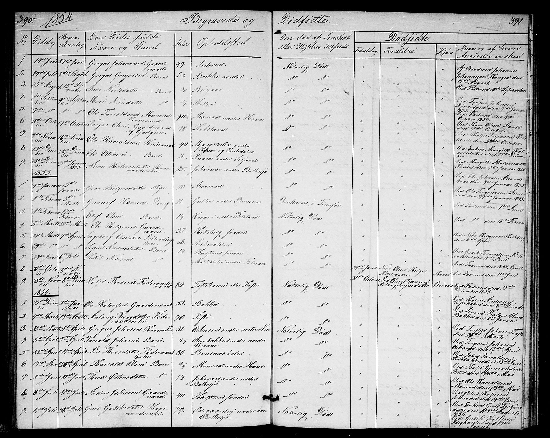Gransherad kirkebøker, SAKO/A-267/G/Ga/L0002: Parish register (copy) no. I 2, 1854-1886, p. 390-391