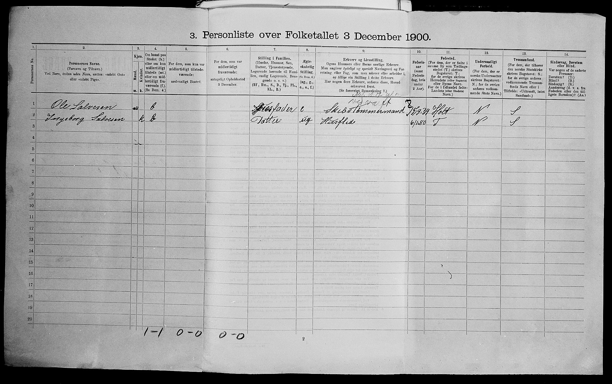 SAK, 1900 census for Tvedestrand, 1900, p. 19