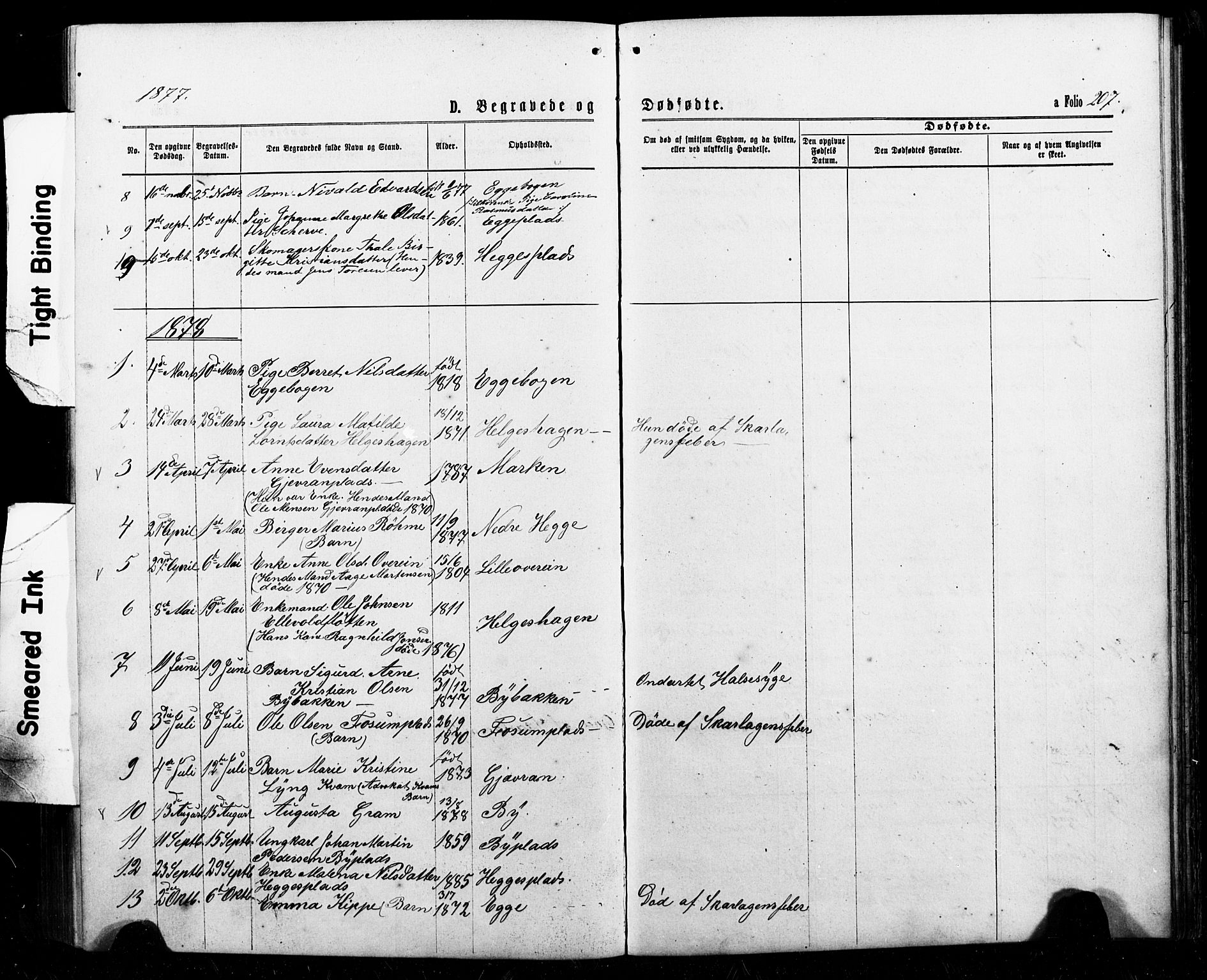 Ministerialprotokoller, klokkerbøker og fødselsregistre - Nord-Trøndelag, SAT/A-1458/740/L0380: Parish register (copy) no. 740C01, 1868-1902, p. 207