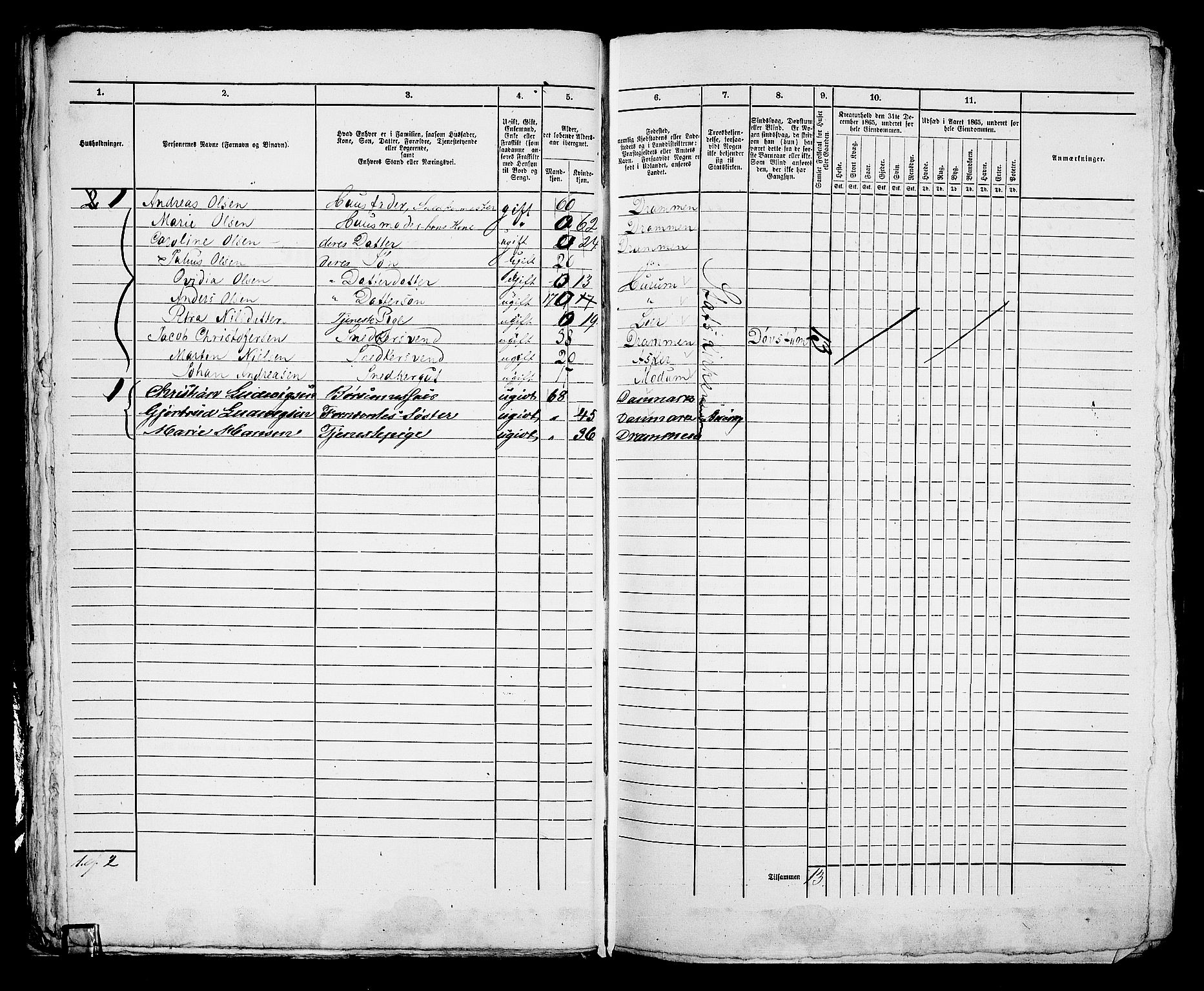 RA, 1865 census for Bragernes in Drammen, 1865, p. 666