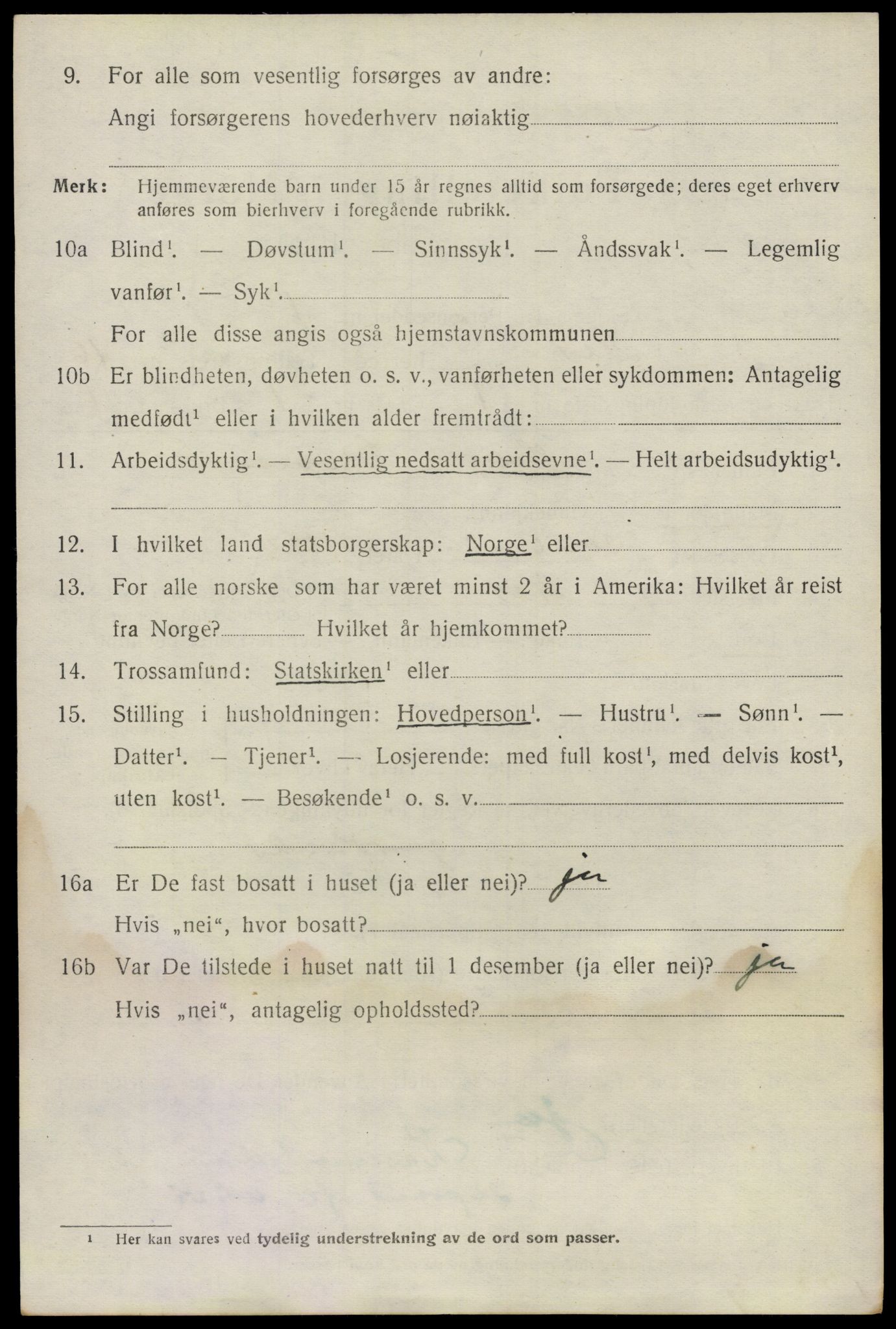 SAO, 1920 census for Nes, 1920, p. 15683