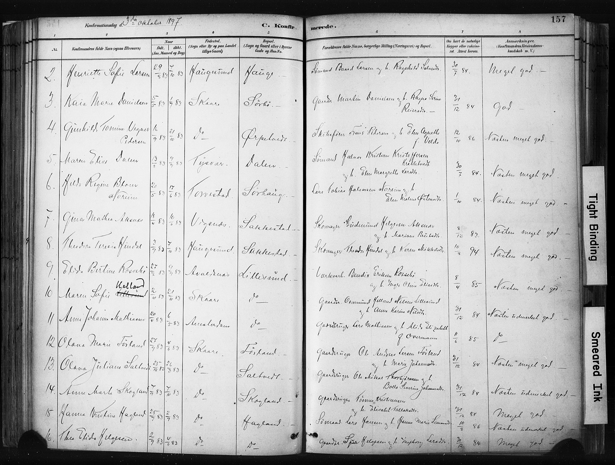 Haugesund sokneprestkontor, AV/SAST-A -101863/H/Ha/Haa/L0004: Parish register (official) no. A 4, 1886-1908, p. 157