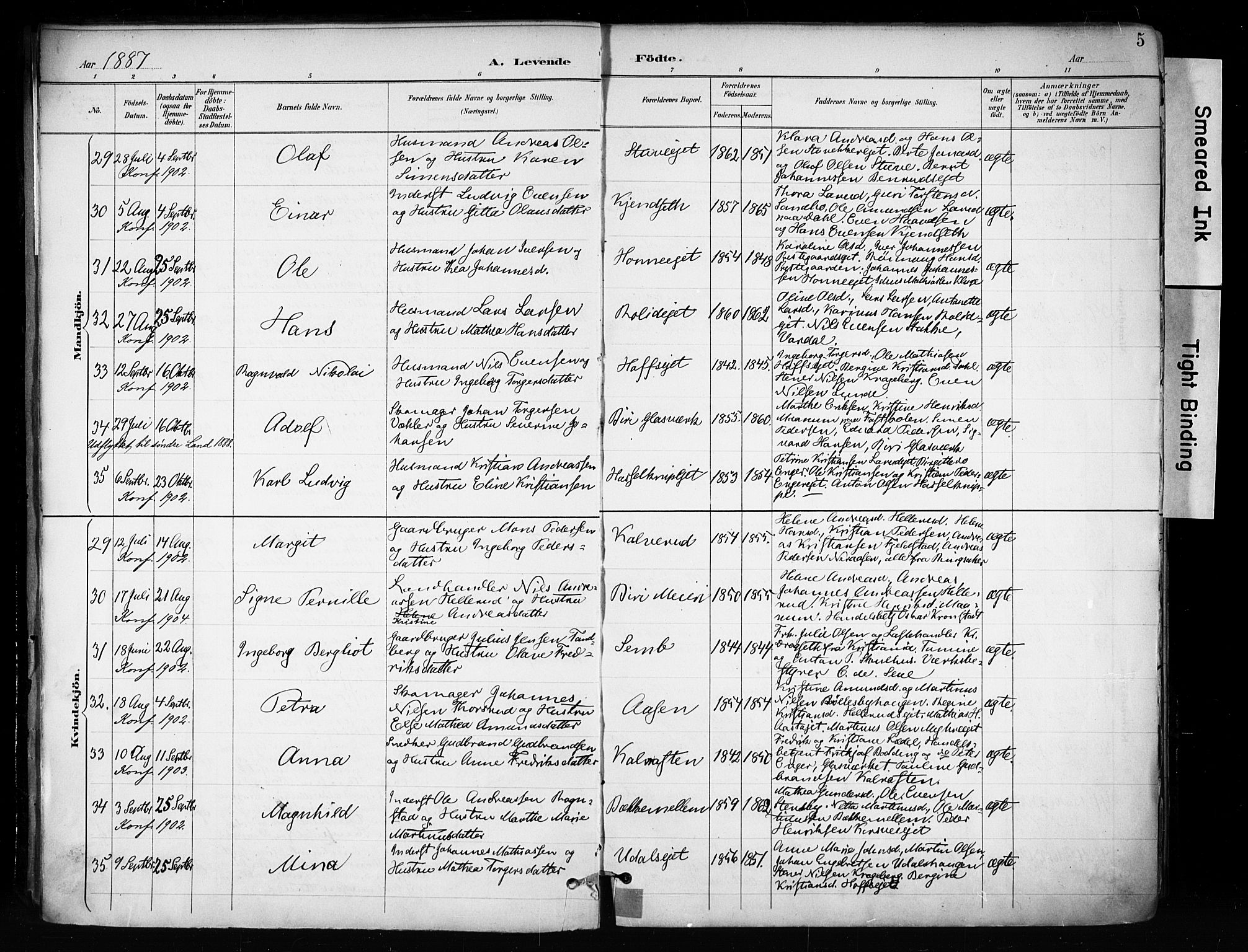 Biri prestekontor, AV/SAH-PREST-096/H/Ha/Haa/L0009: Parish register (official) no. 9, 1887-1900, p. 5