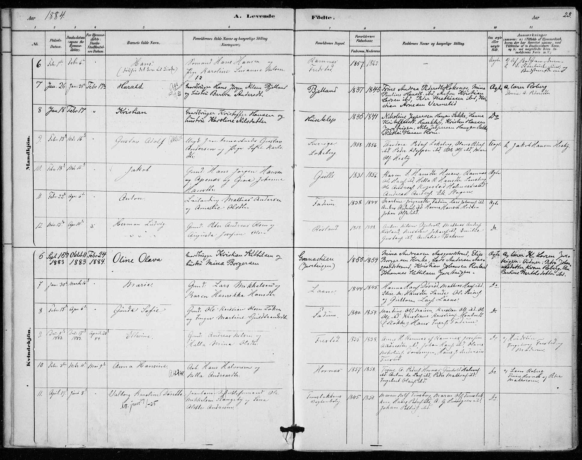Sem kirkebøker, SAKO/A-5/F/Fa/L0010: Parish register (official) no. I 10, 1878-1887, p. 23