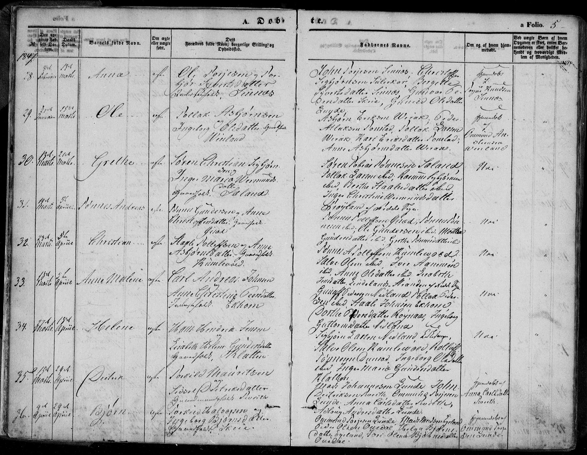 Bakke sokneprestkontor, AV/SAK-1111-0002/F/Fa/Faa/L0005: Parish register (official) no. A 5, 1847-1855, p. 5